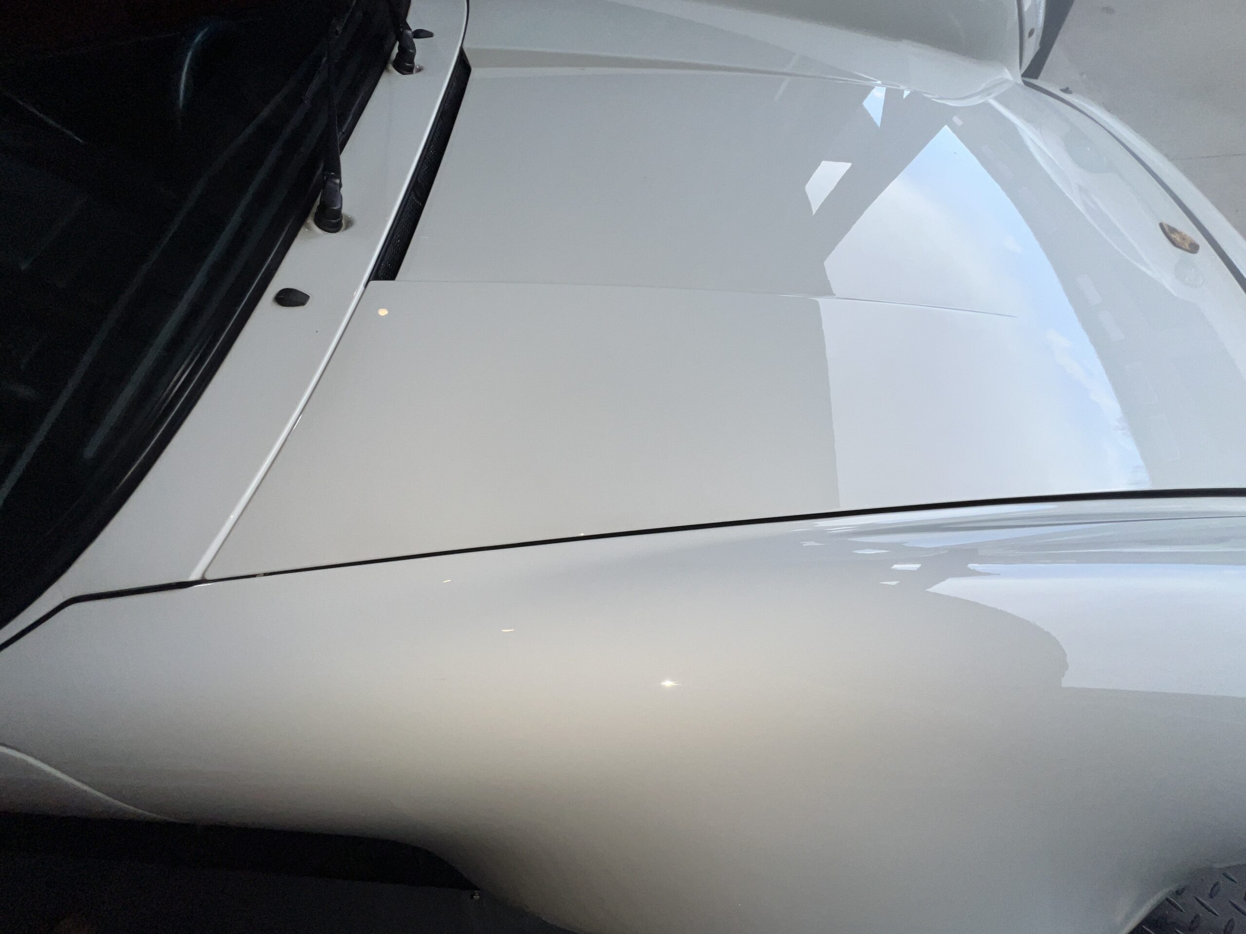 Photo 2025-04-19, 3 58 04 PM