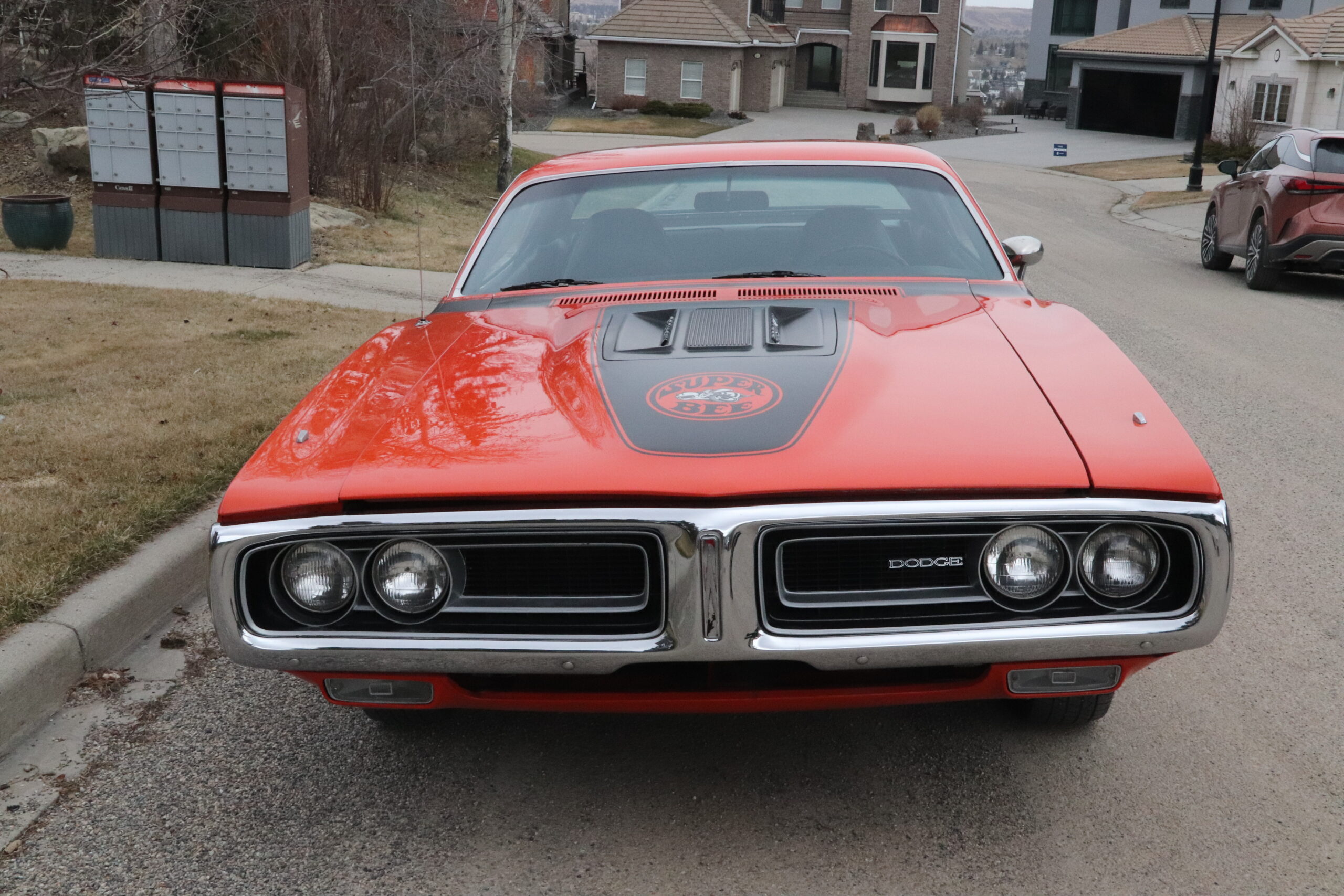 1.32 Super Bee Cecil Avery 2025-04-10