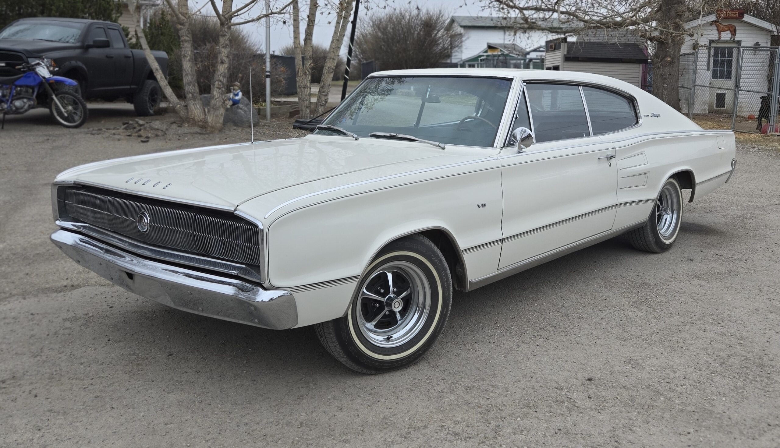 20250420_113658 Geoff Staddon 2025-04-20