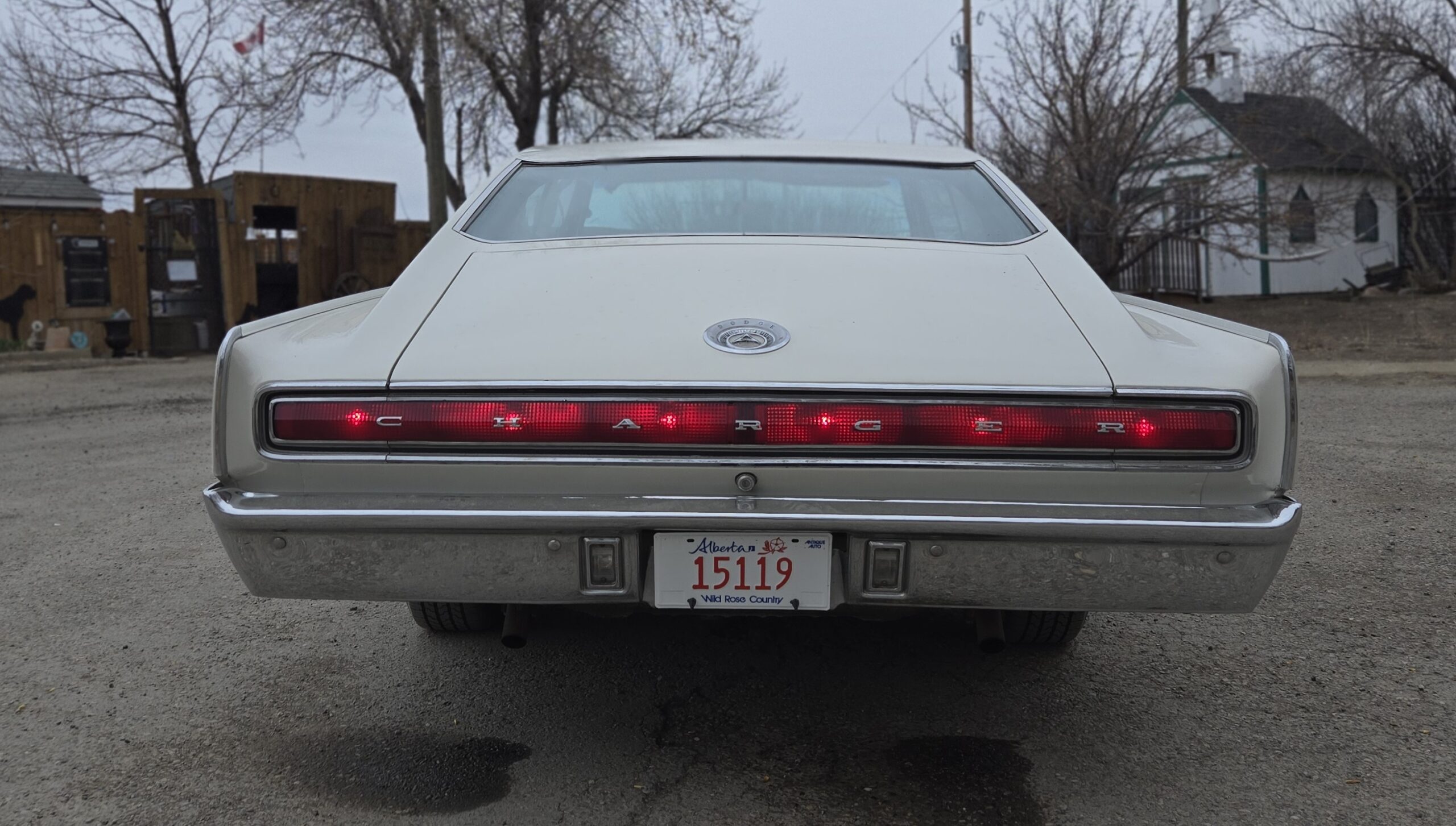 20250420_113728 Geoff Staddon 2025-04-20