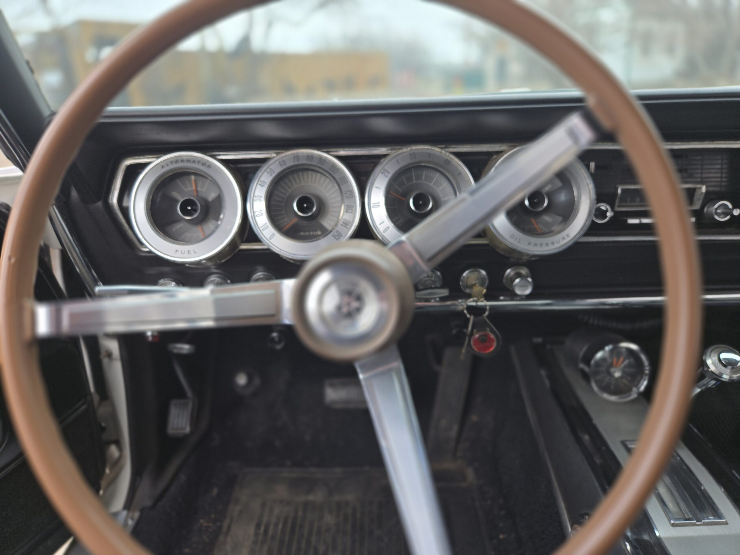 20250420_113856 Geoff Staddon 2025-04-20