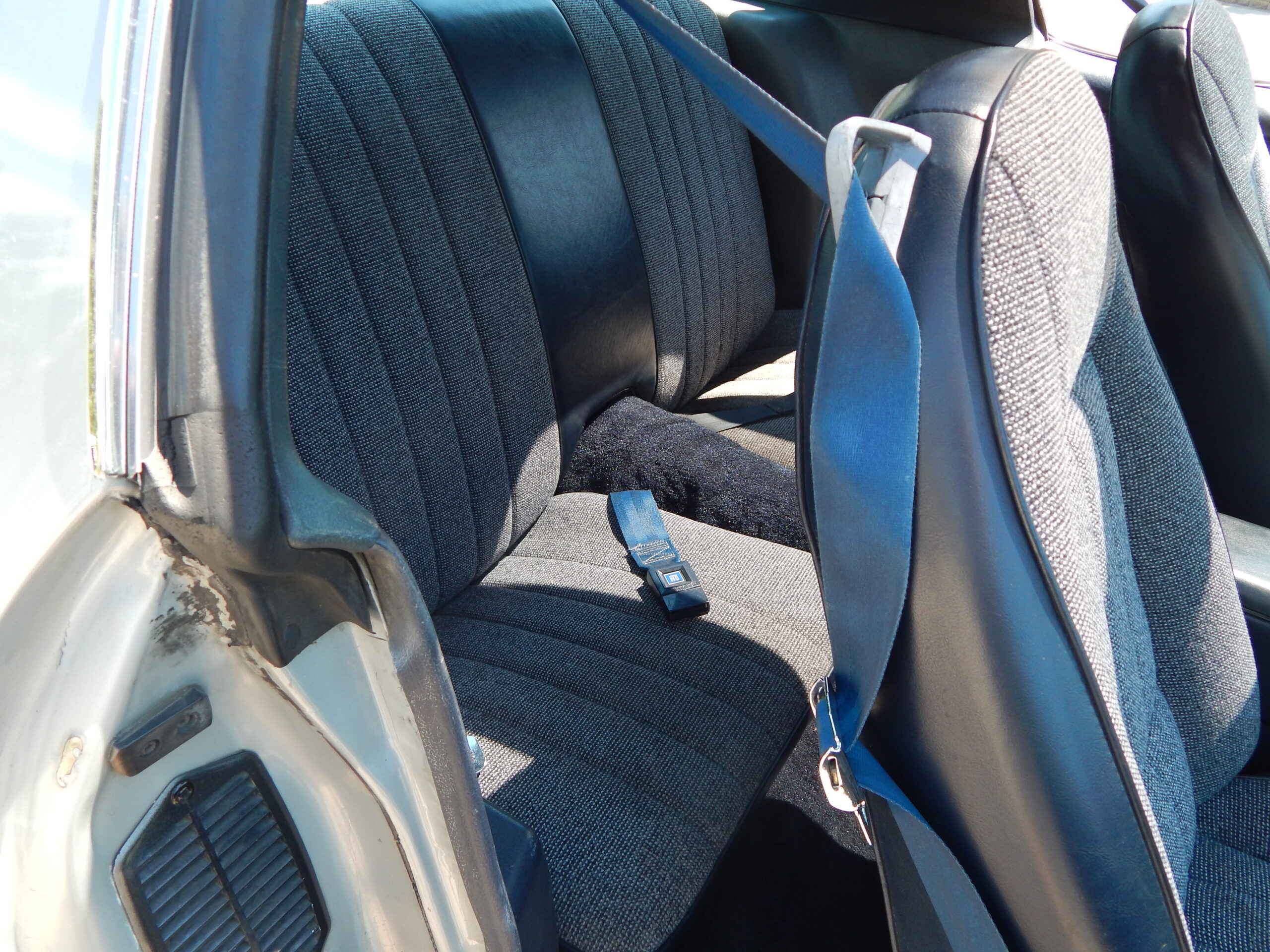 DSCN2828 Glenn Curtis 2025-04-28