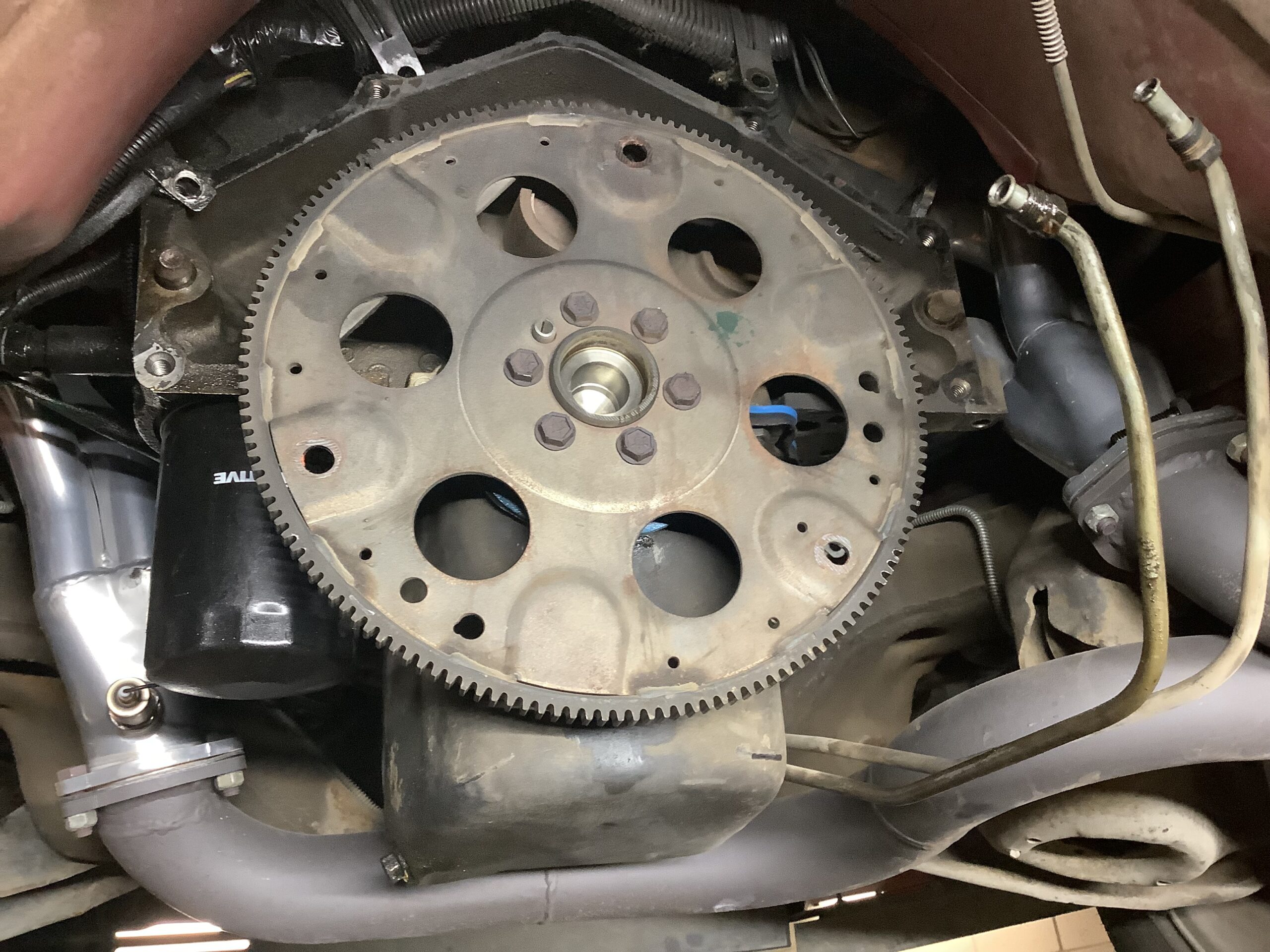 IMG_0263 Robert Hollinger 2025-04-25