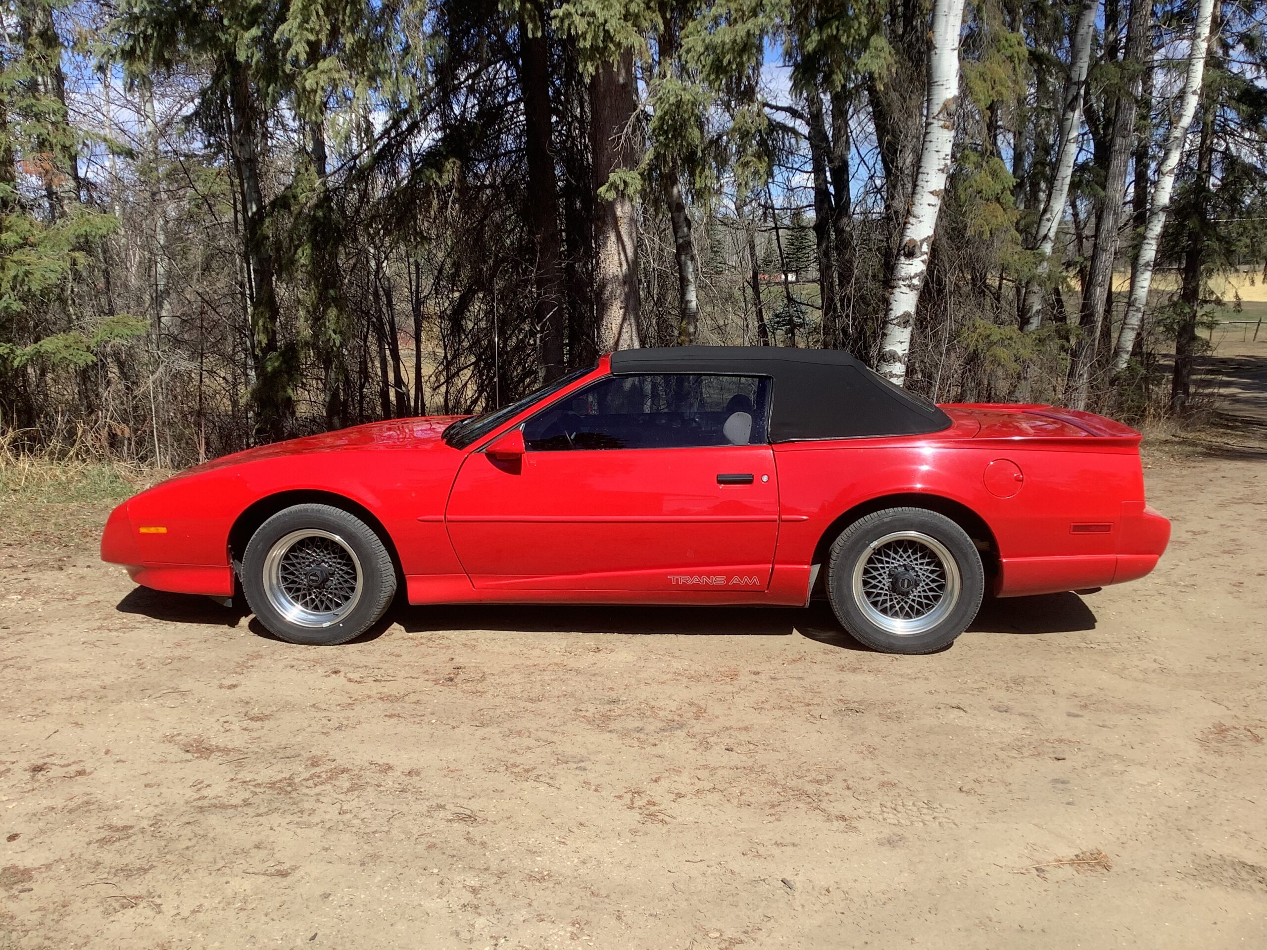 IMG_1337 Robert Hollinger 2025-04-25