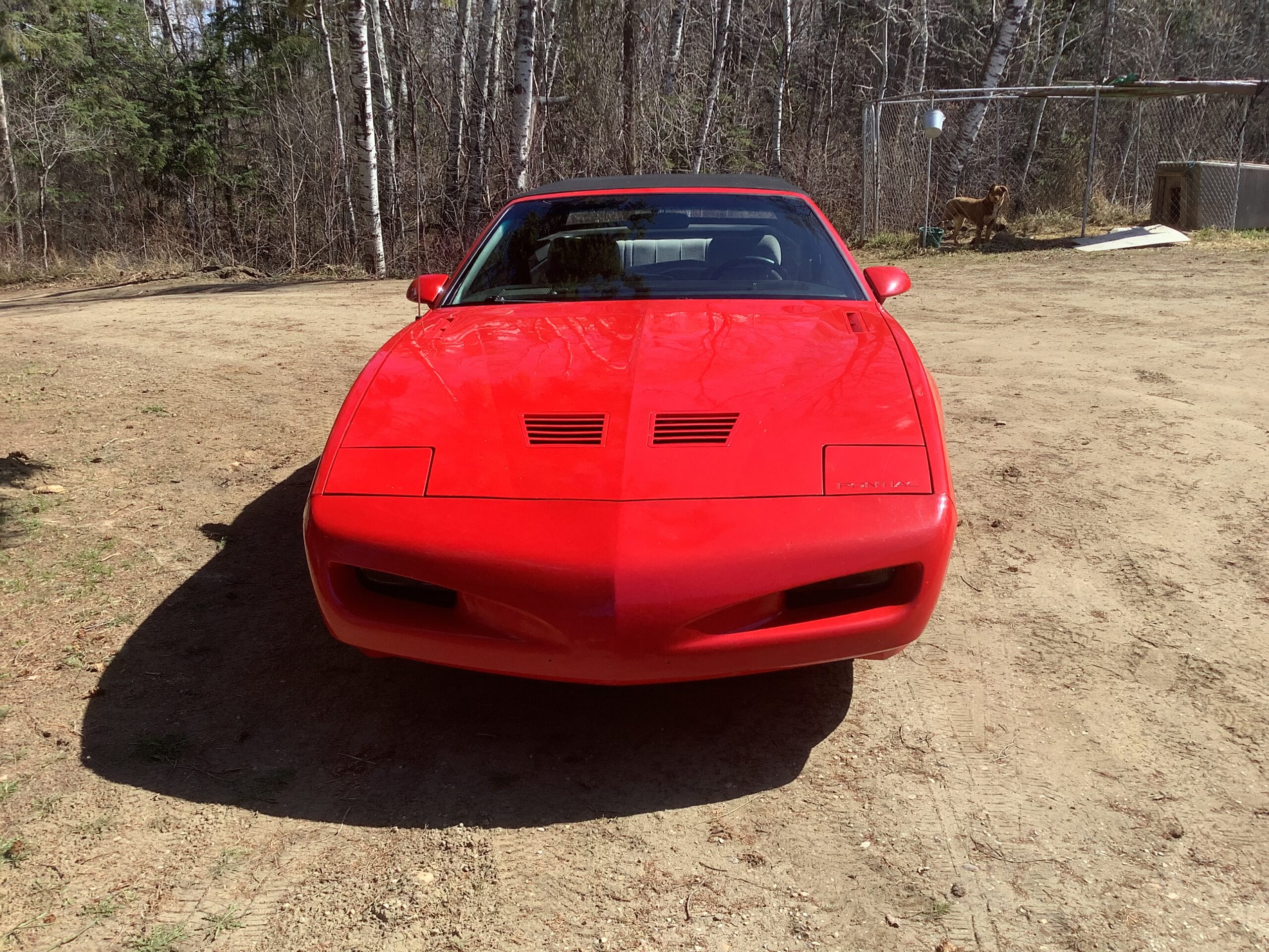 IMG_1344 Robert Hollinger 2025-04-25