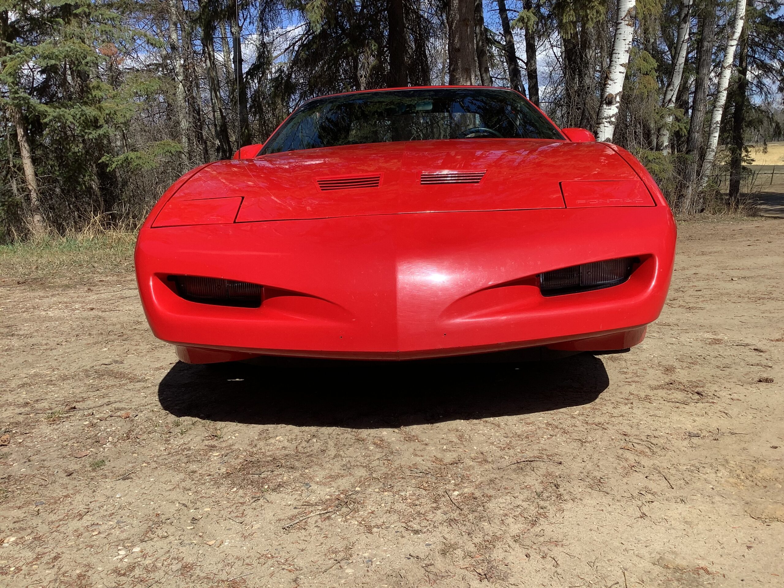 IMG_1363 Robert Hollinger 2025-04-25