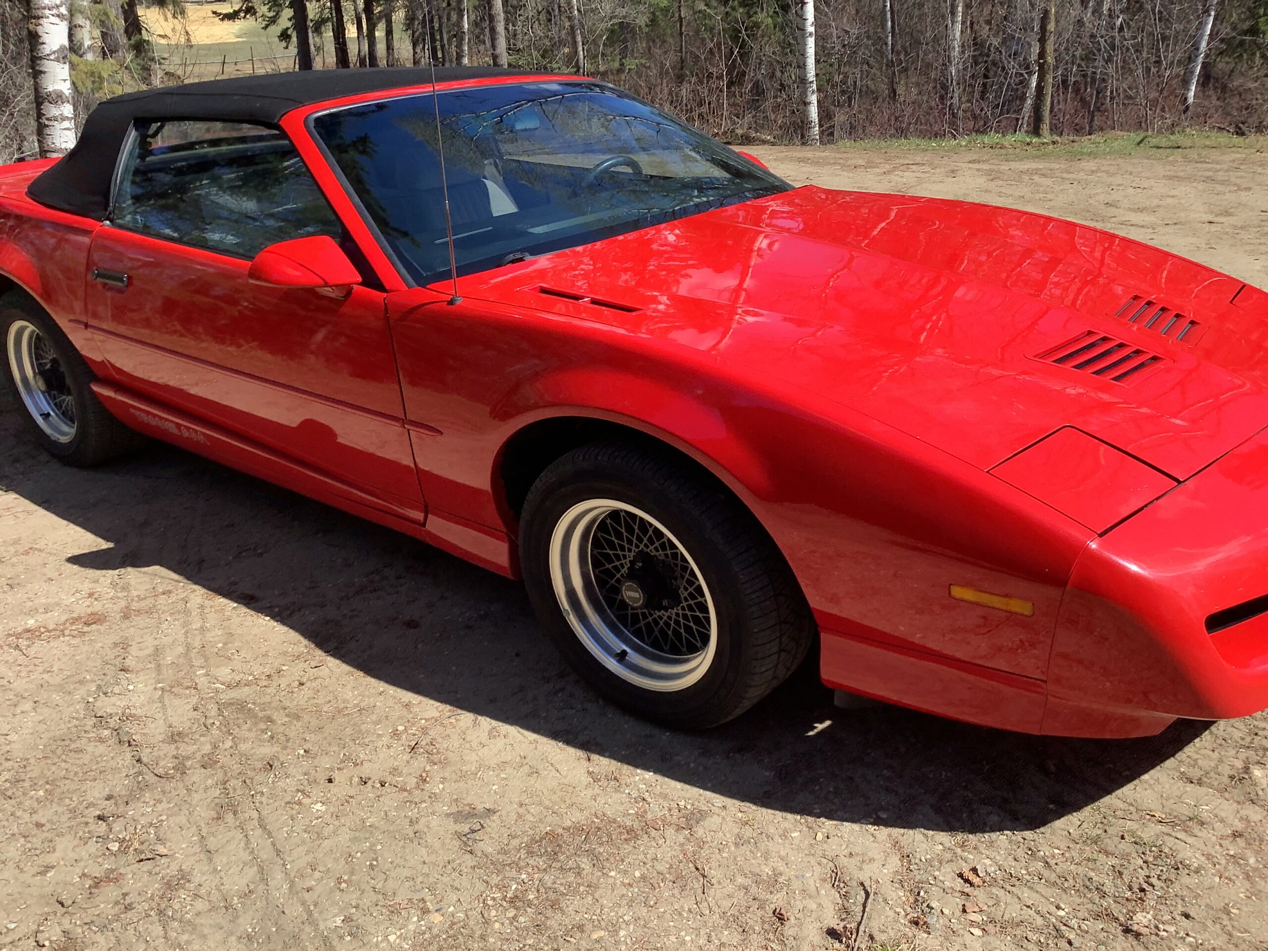 IMG_1364 Robert Hollinger 2025-04-25