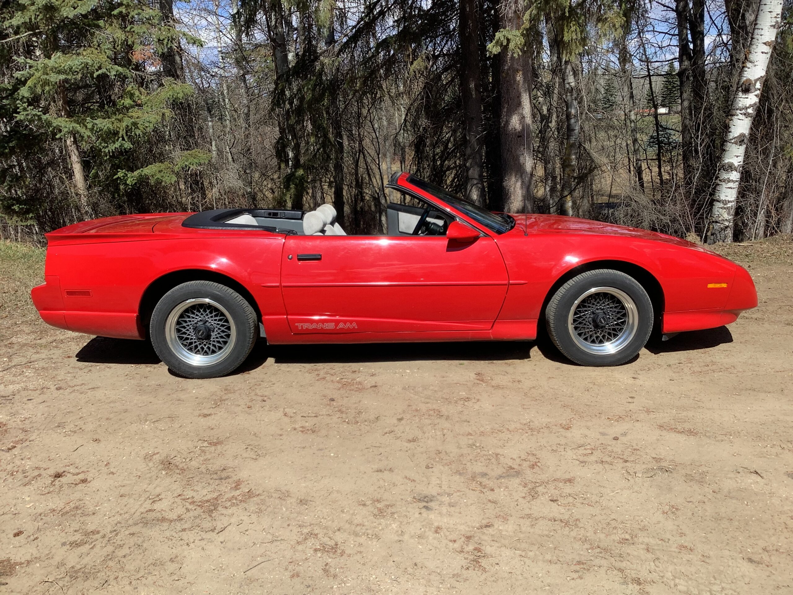 IMG_1371 Robert Hollinger 2025-04-25