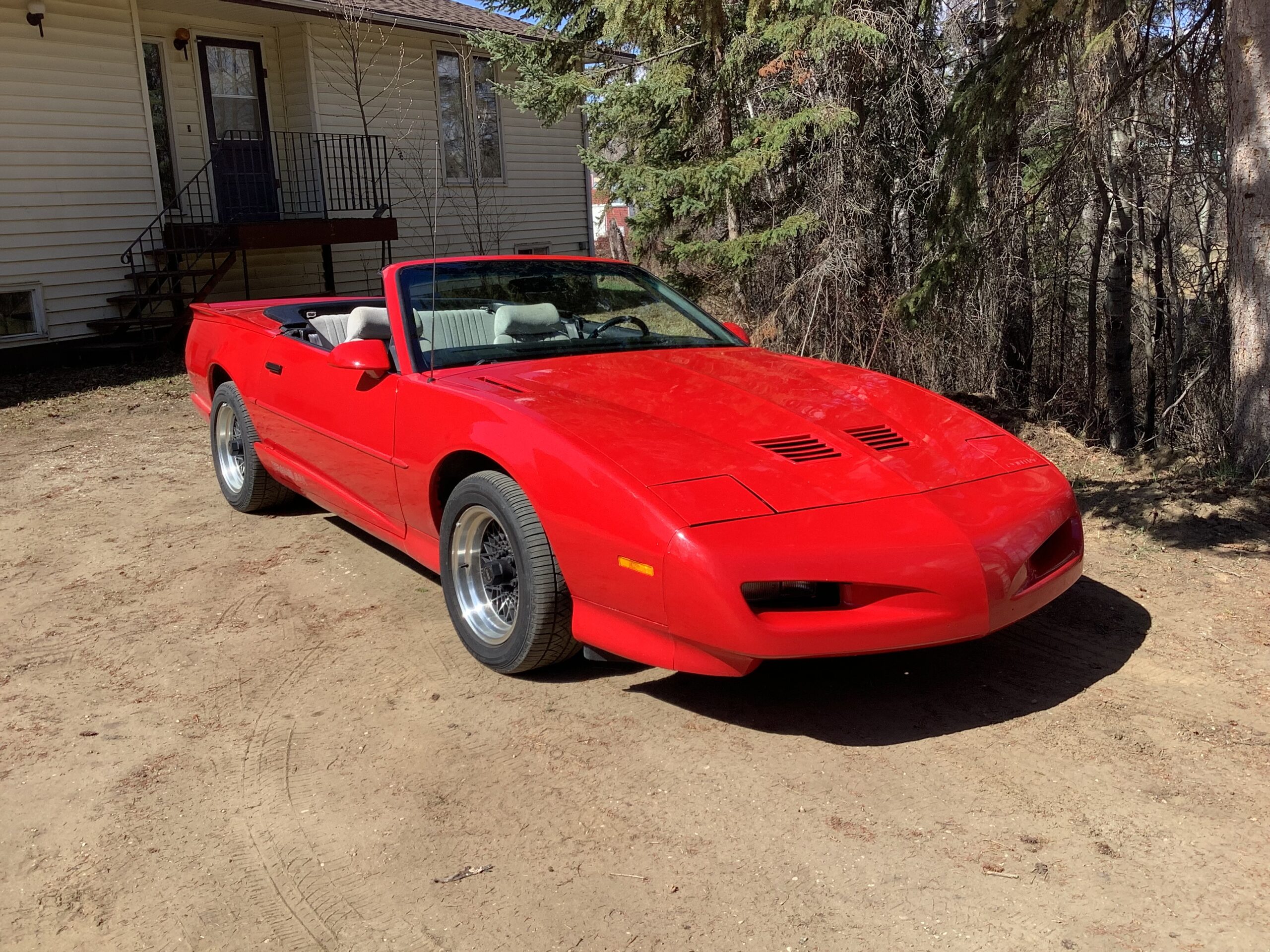 IMG_1373 Robert Hollinger 2025-04-25