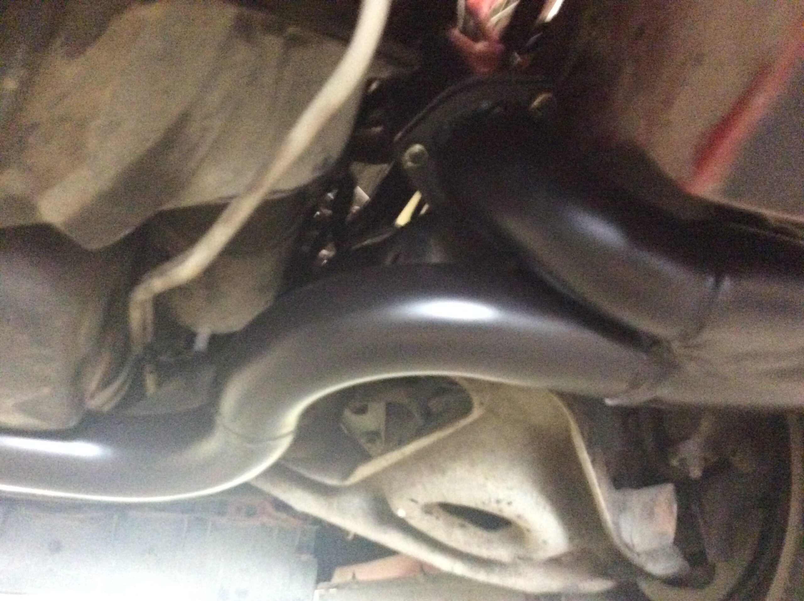 IMG_2441 Robert Hollinger 2025-04-25