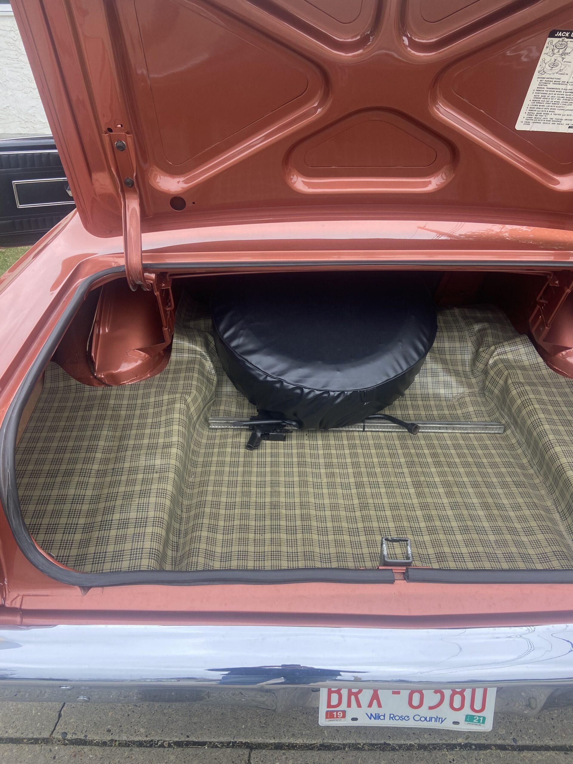 IMG_9111 Alan Mason 2025-05-20