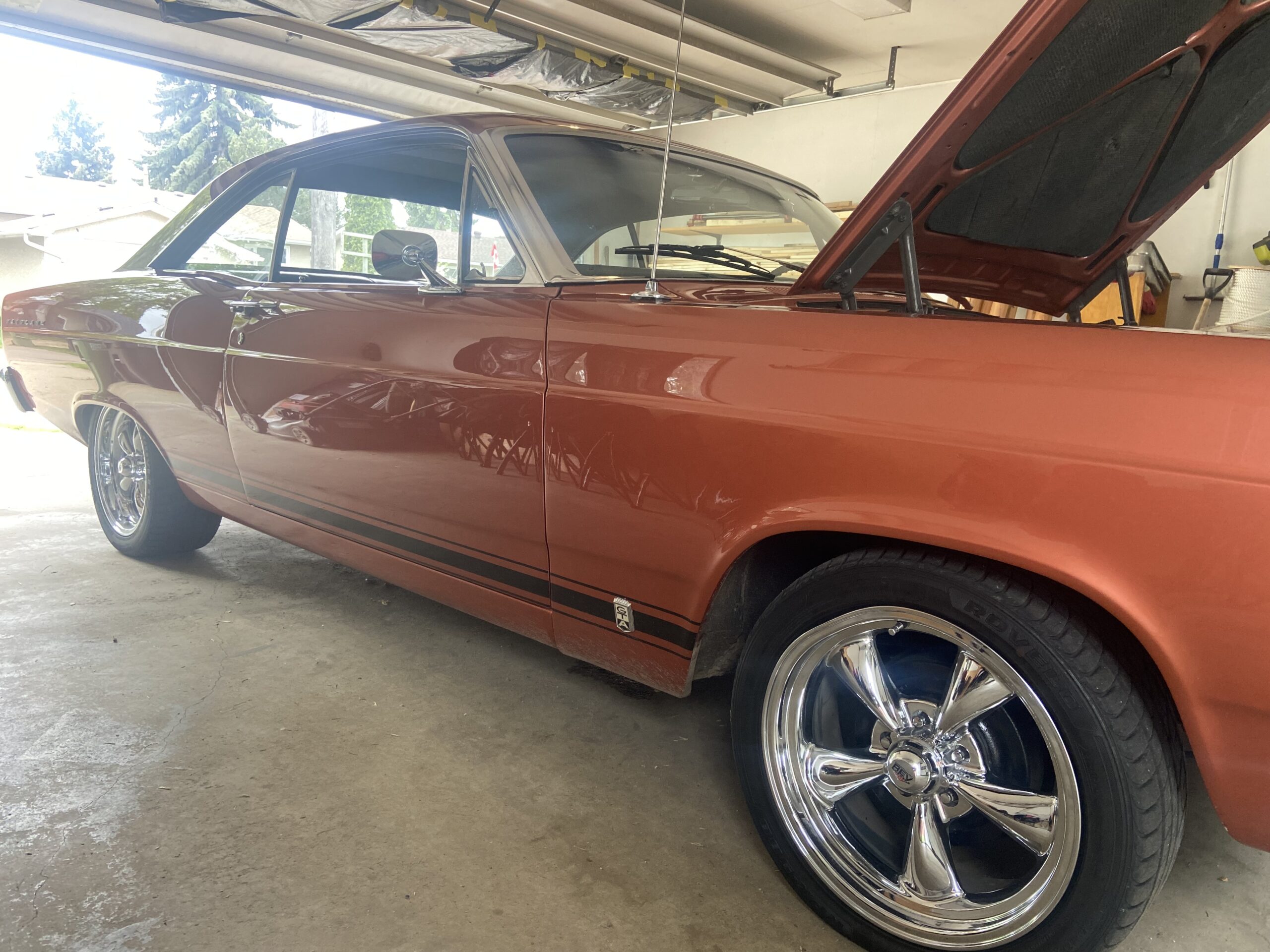 IMG_9149 Alan Mason 2025-05-20