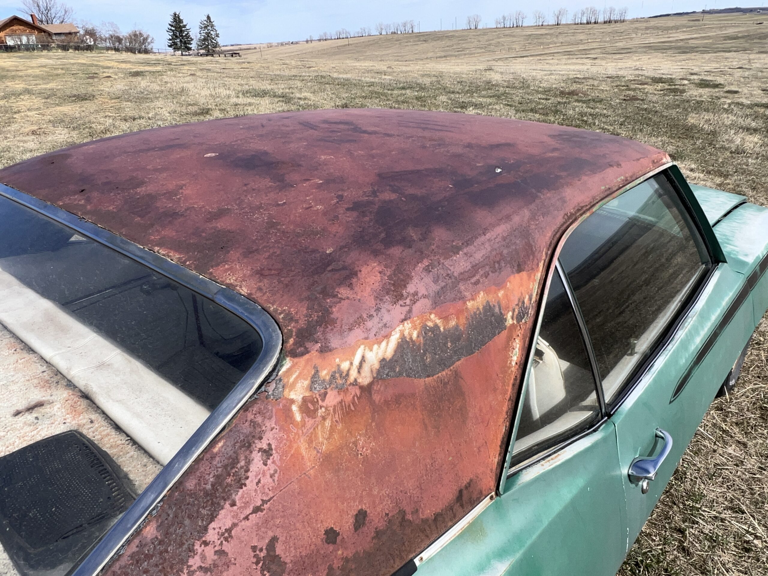 Photo 2025-04-18, 1 24 48 PM