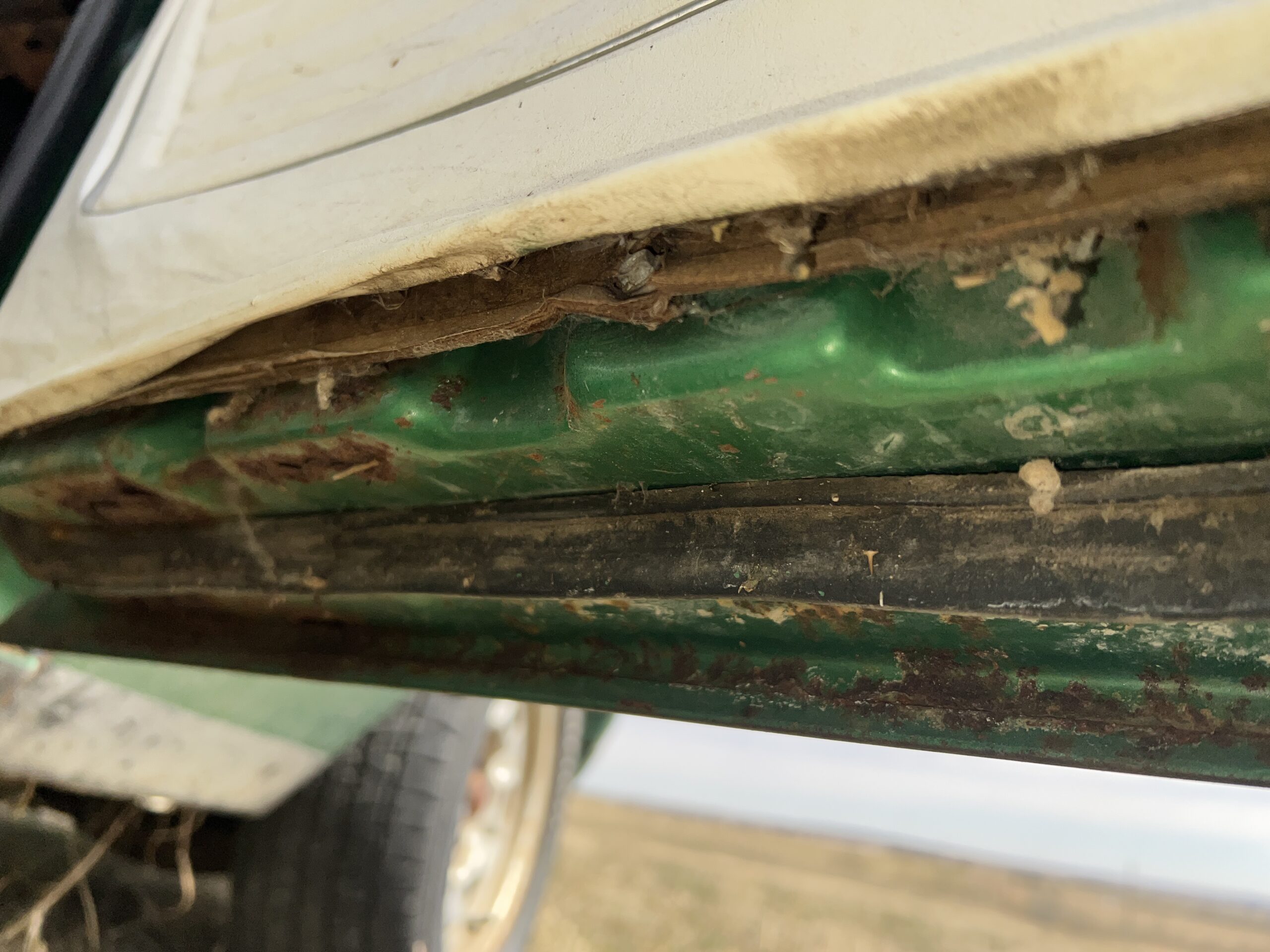 Photo 2025-04-18, 1 25 33 PM