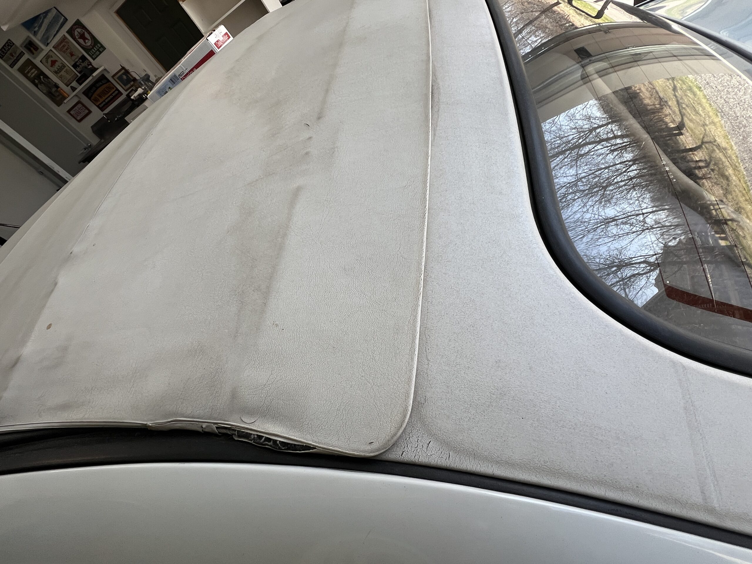 Photo 2025-04-25, 12 12 27 PM