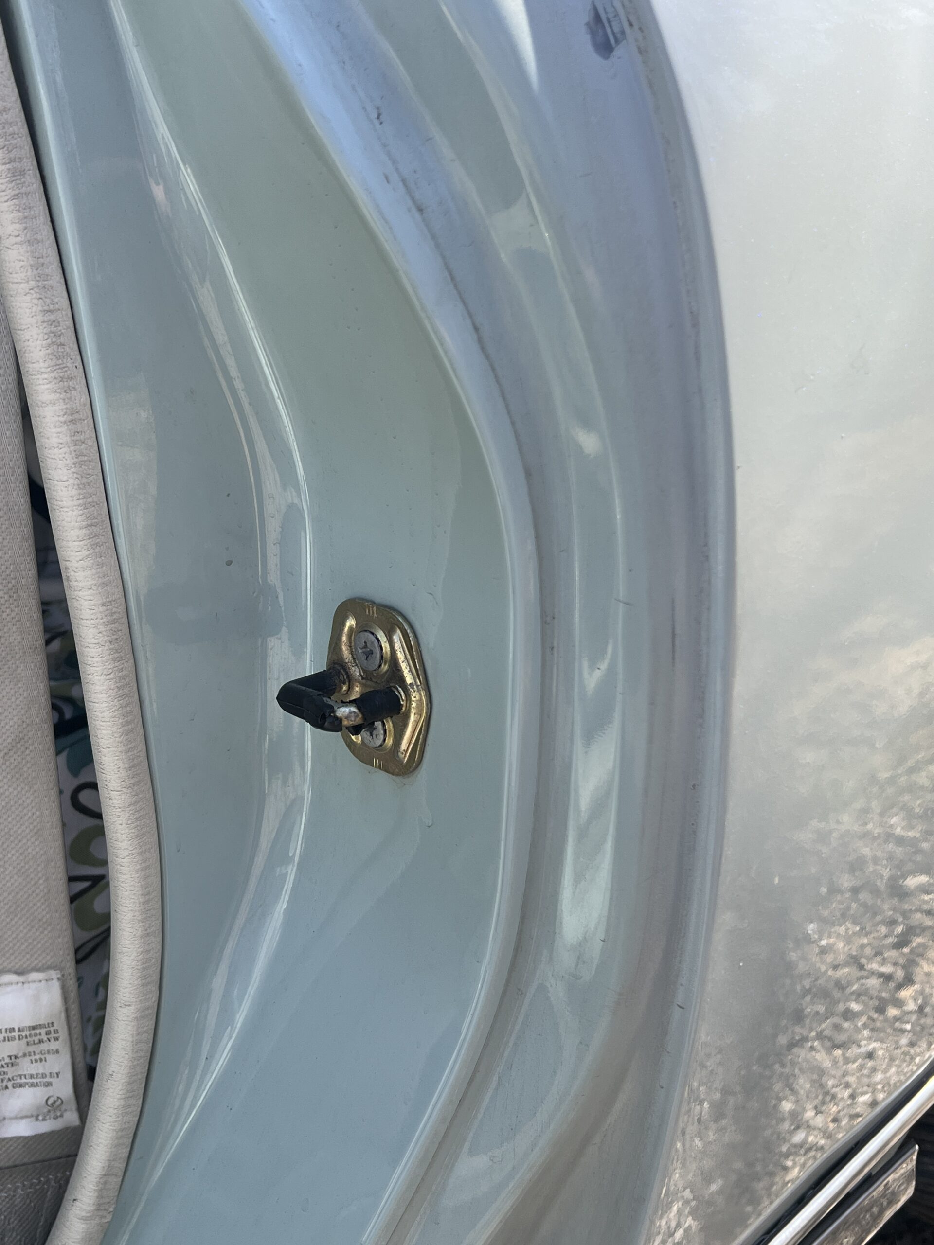 Photo 2025-04-25, 12 23 43 PM