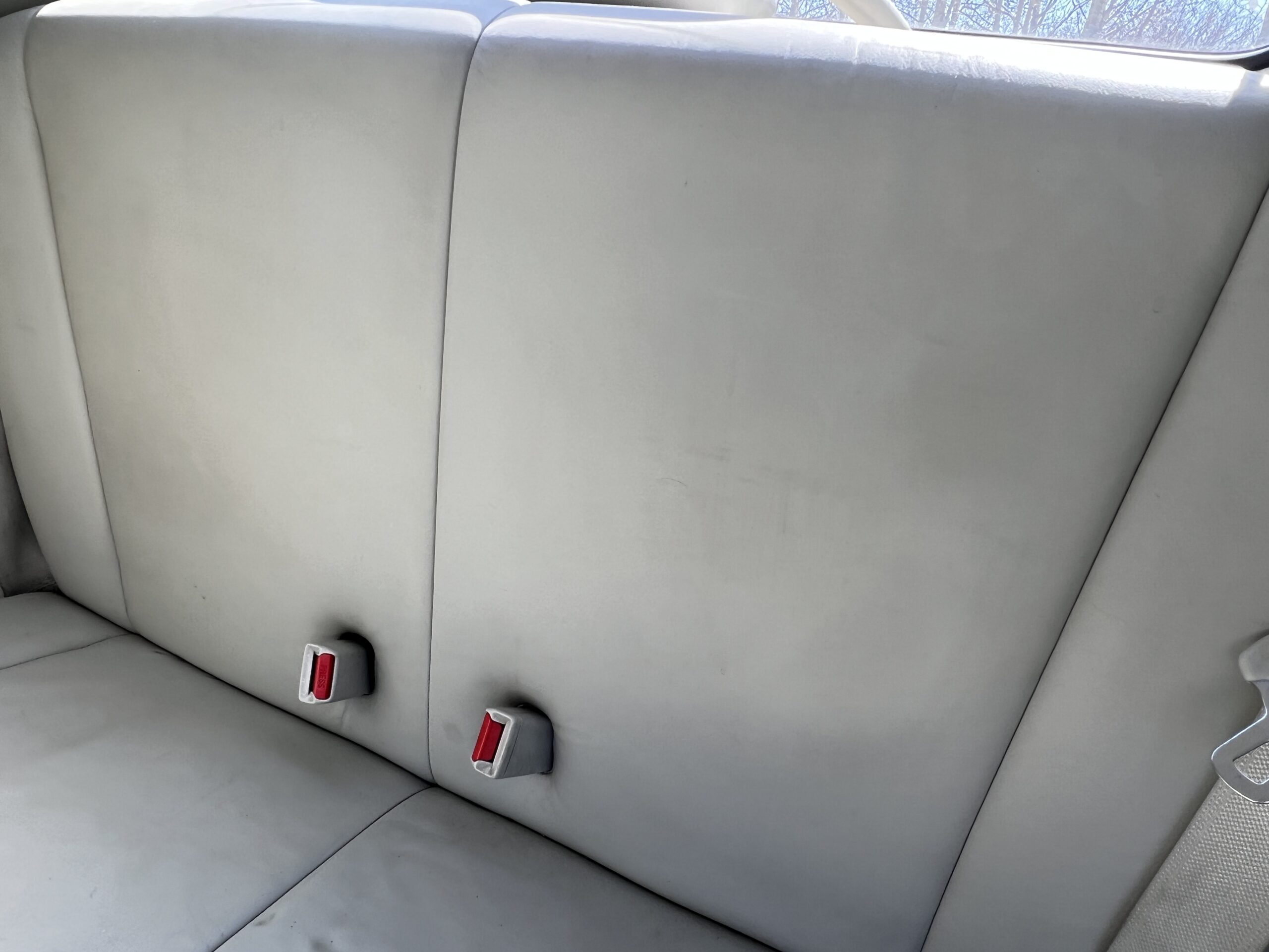 Photo 2025-04-25, 12 24 53 PM