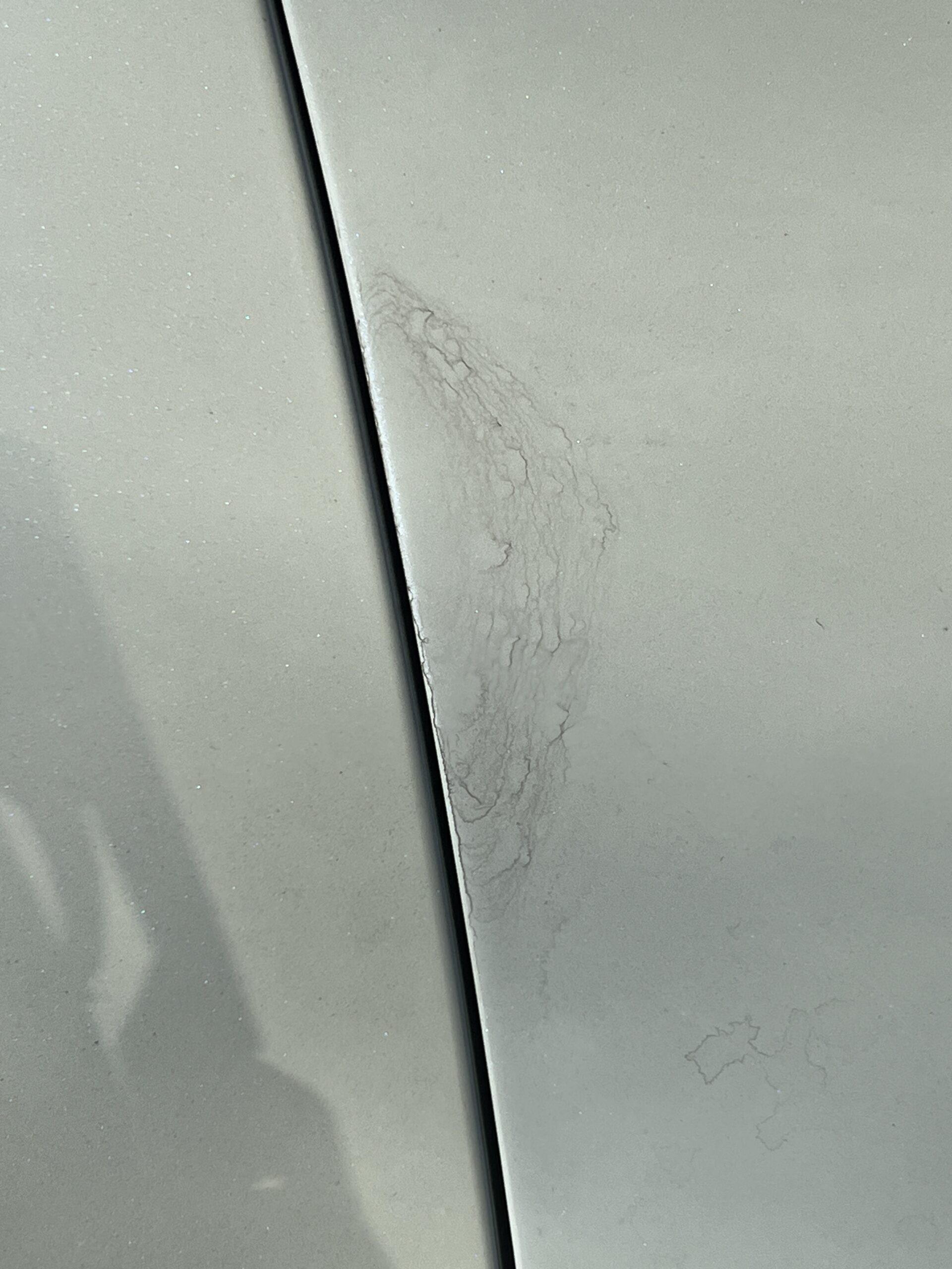 Photo 2025-04-25, 12 29 46 PM