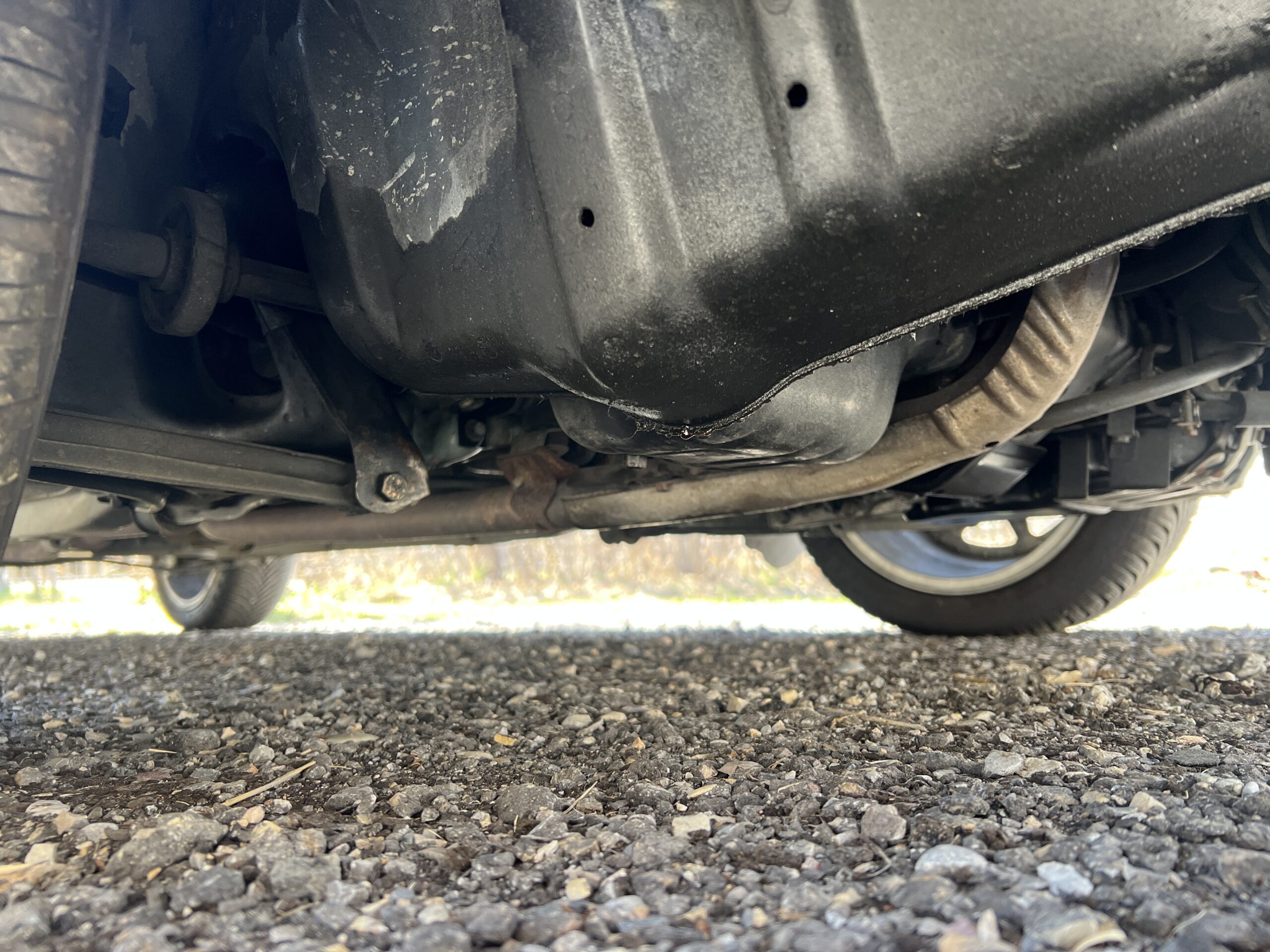 Photo 2025-04-25, 12 33 21 PM