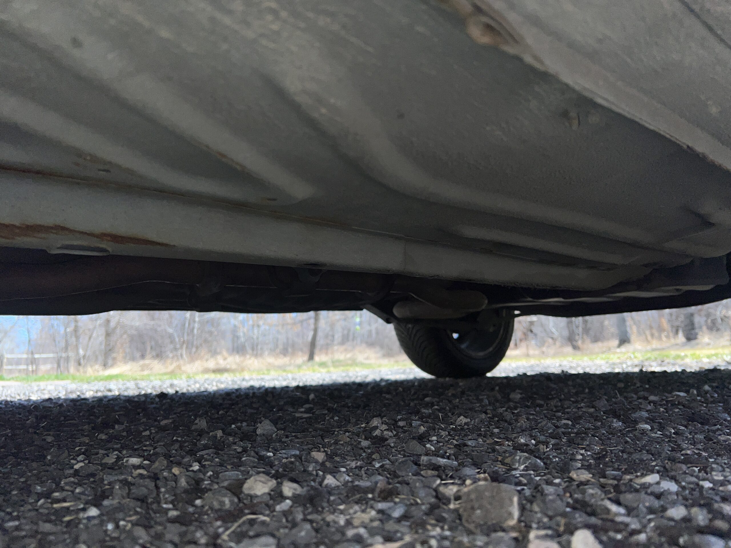 Photo 2025-04-25, 12 33 45 PM