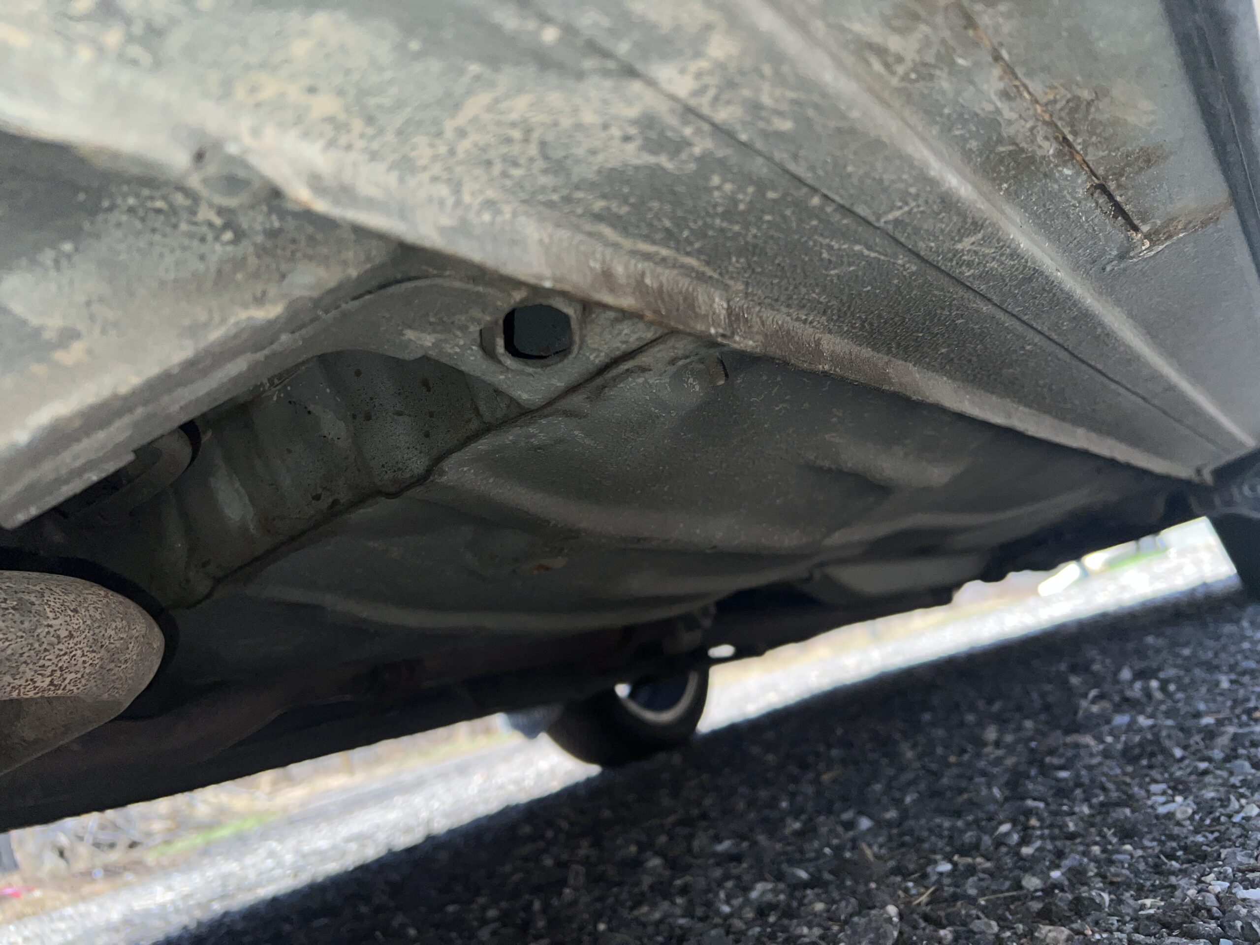 Photo 2025-04-25, 12 34 18 PM