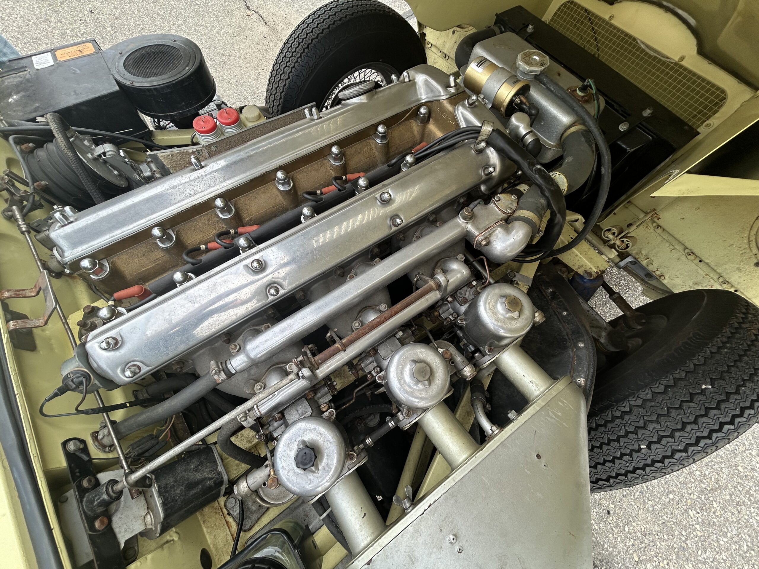 Photo 4-28-25, 5 02 01 PM