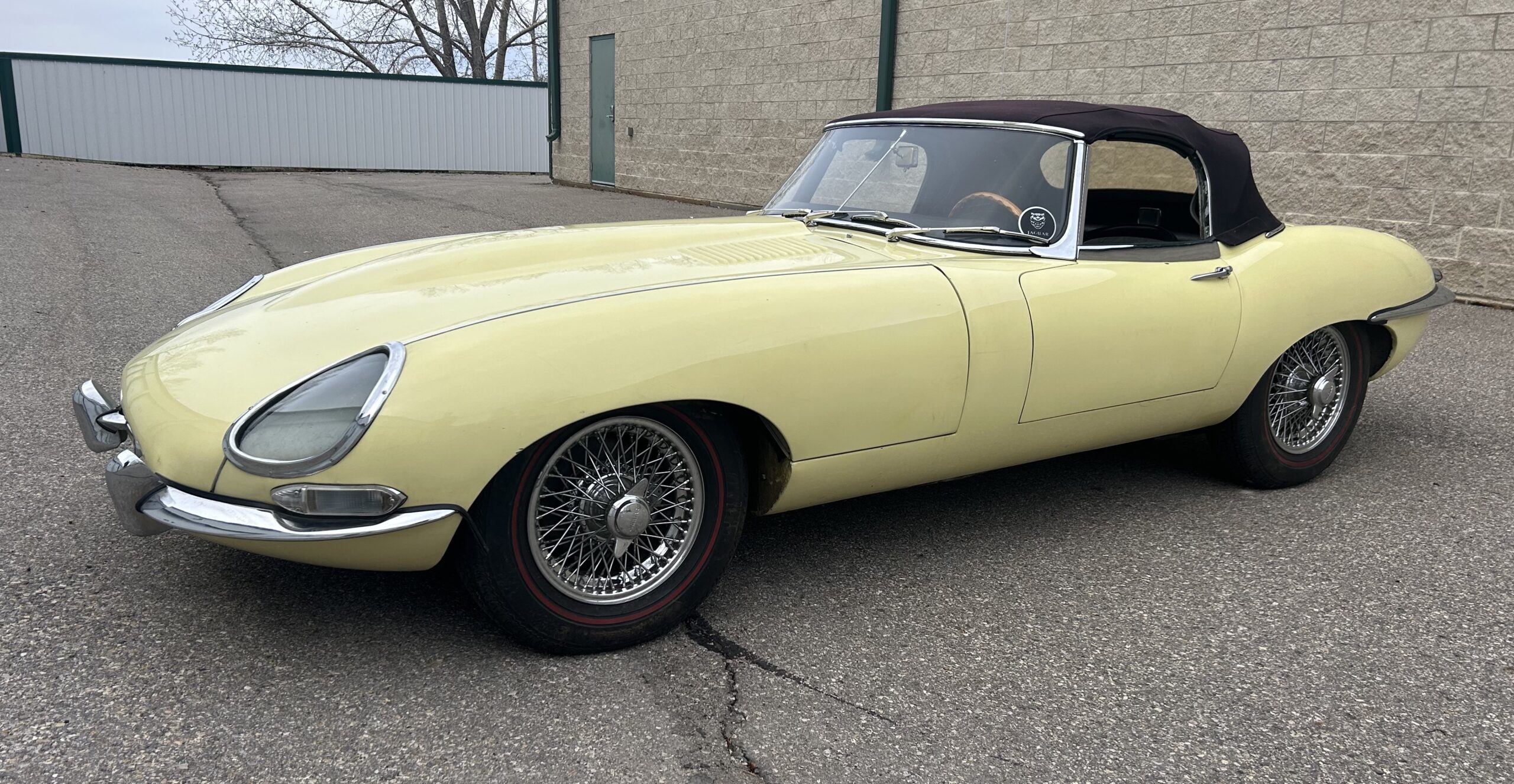 Photo 4-28-25, 5 07 17 PM