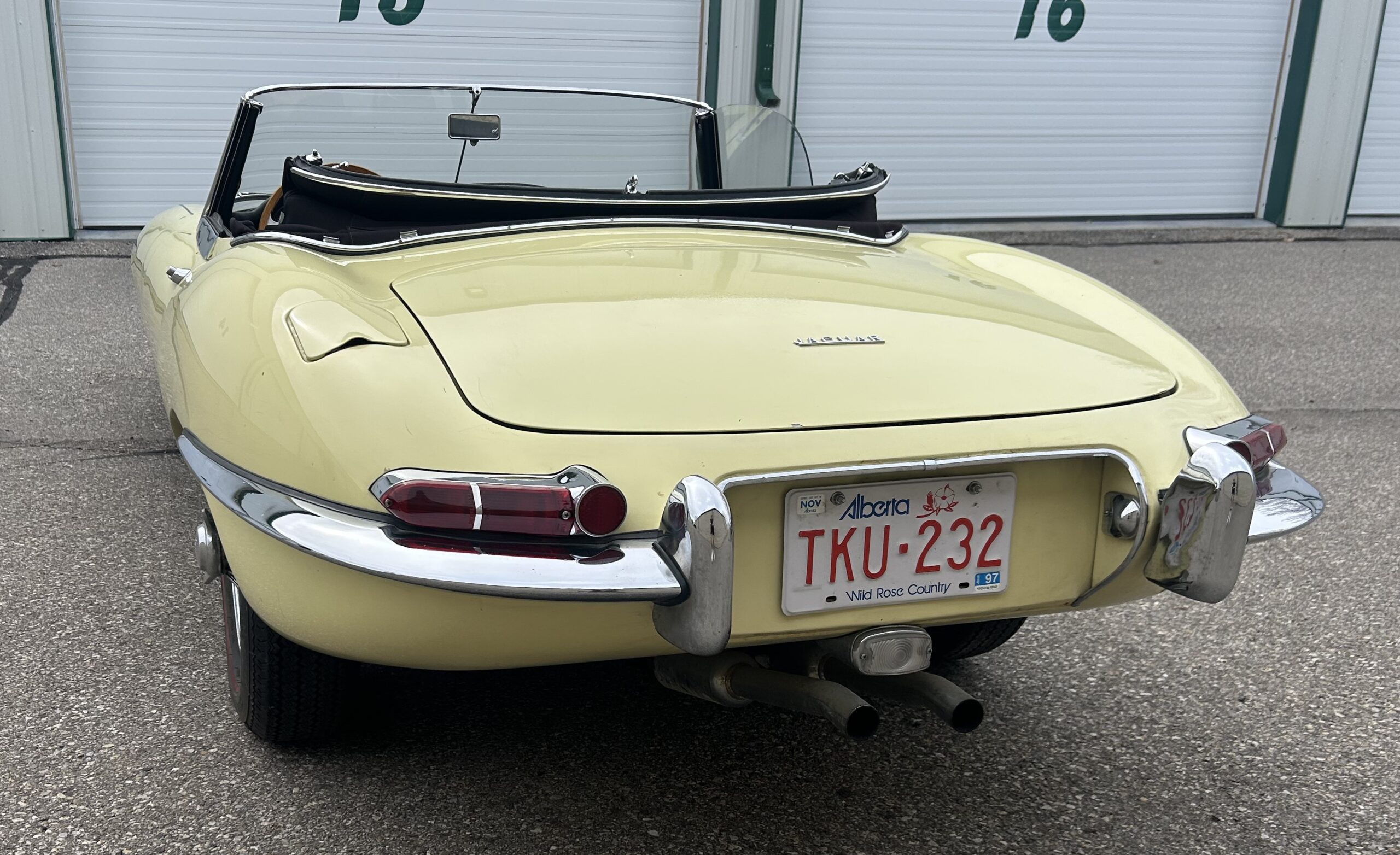 Photo 4-28-25, 5 09 49 PM