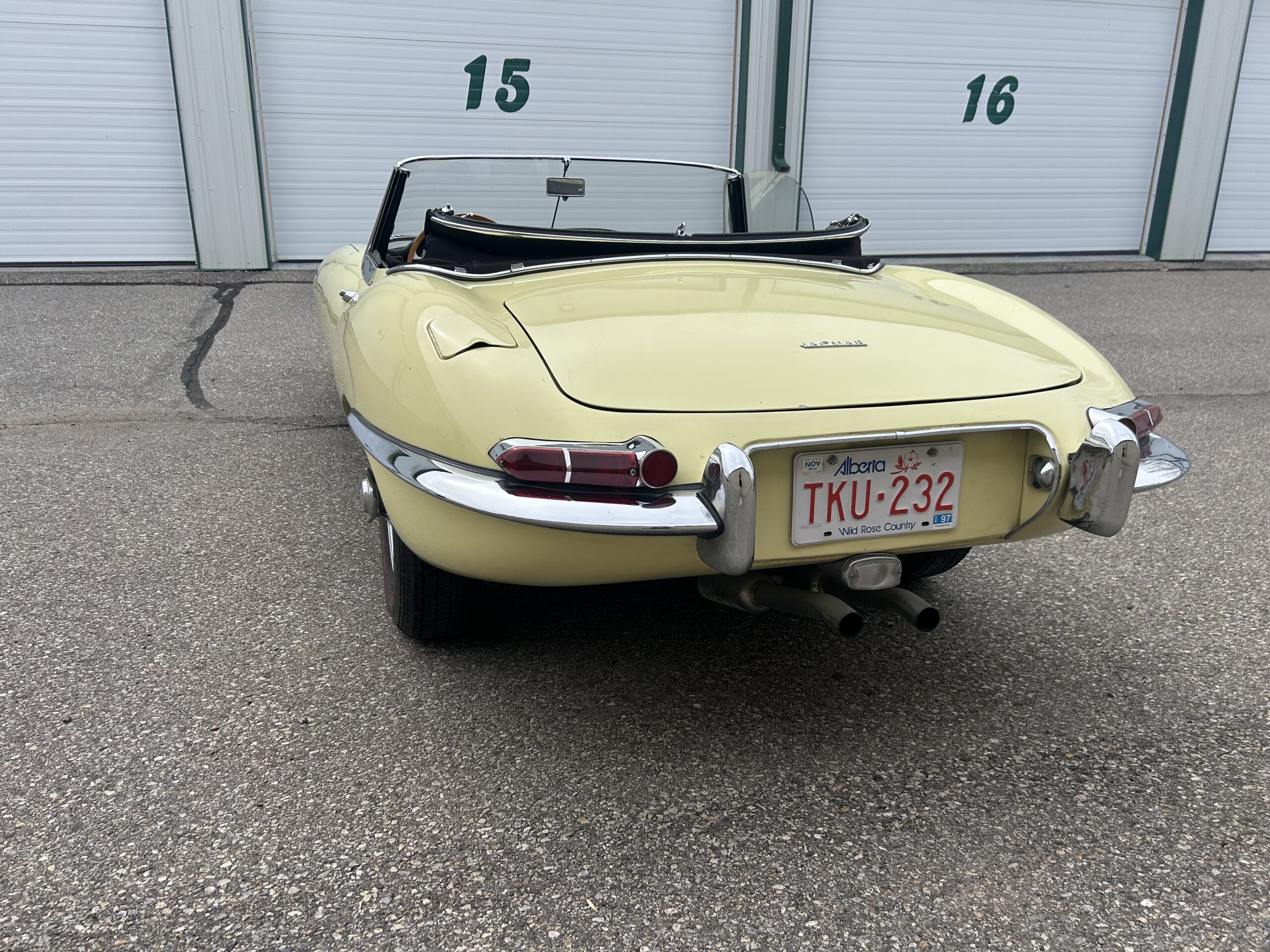 Photo 4-28-25, 5 09 49 PM