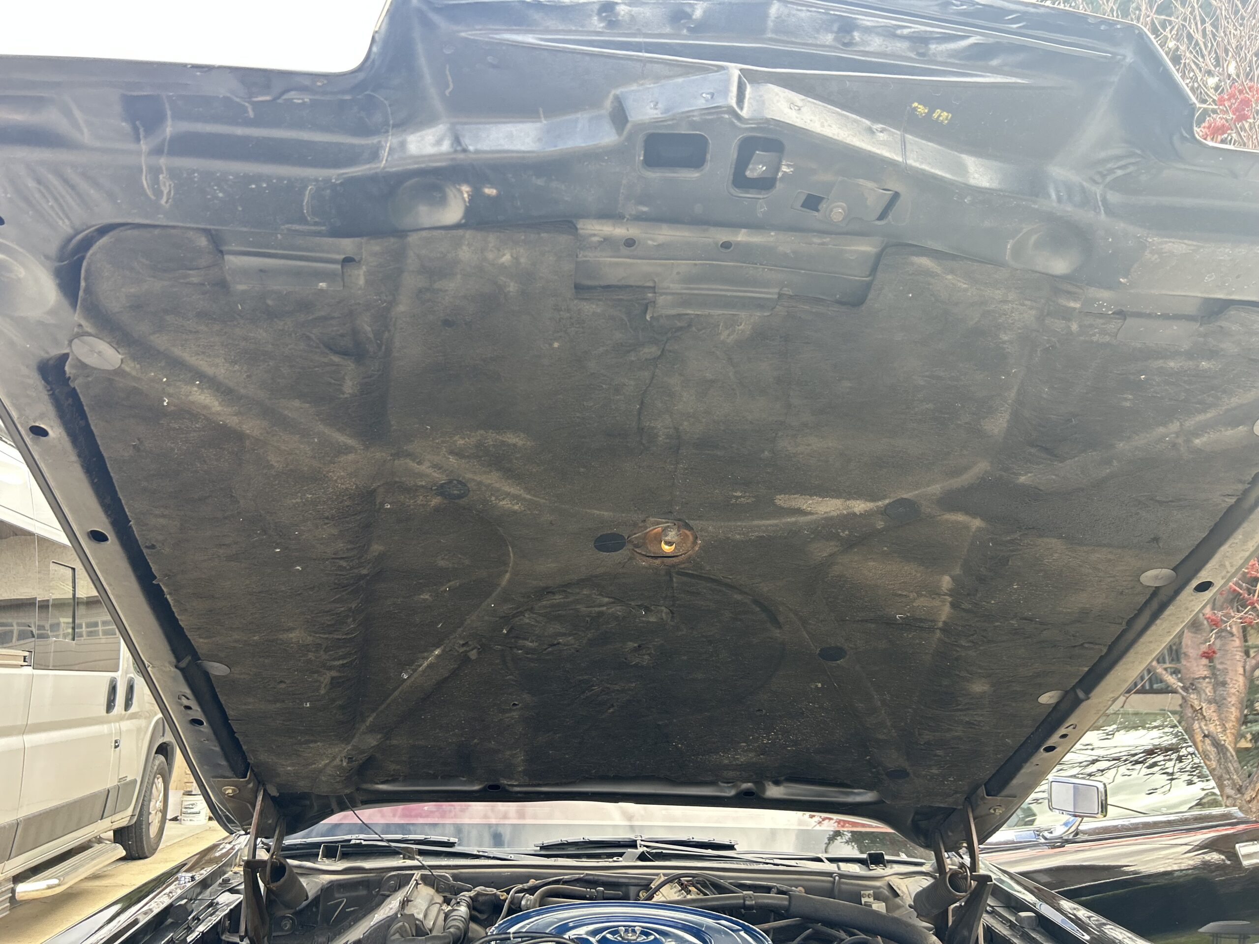 Photo 4-30-25, 11 12 39 AM