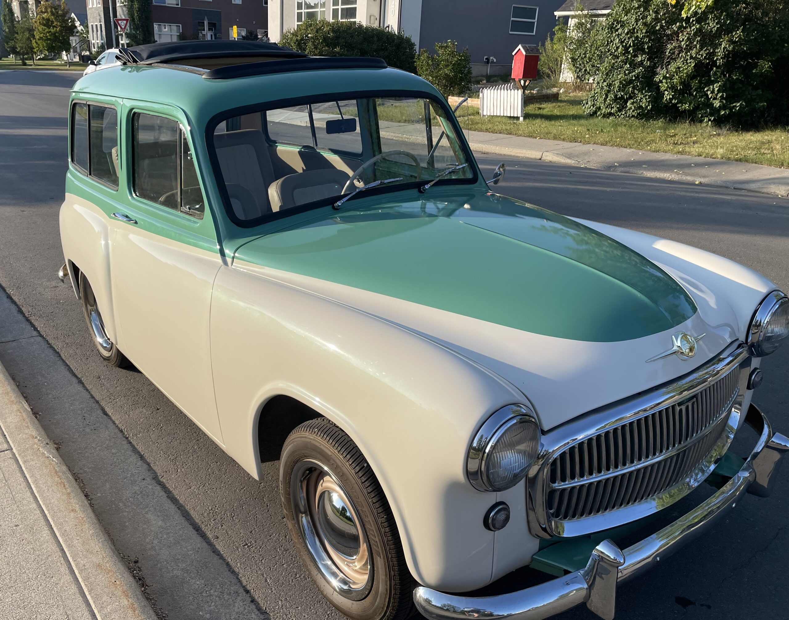 02 Jeneane Whiteside 2025-05-04