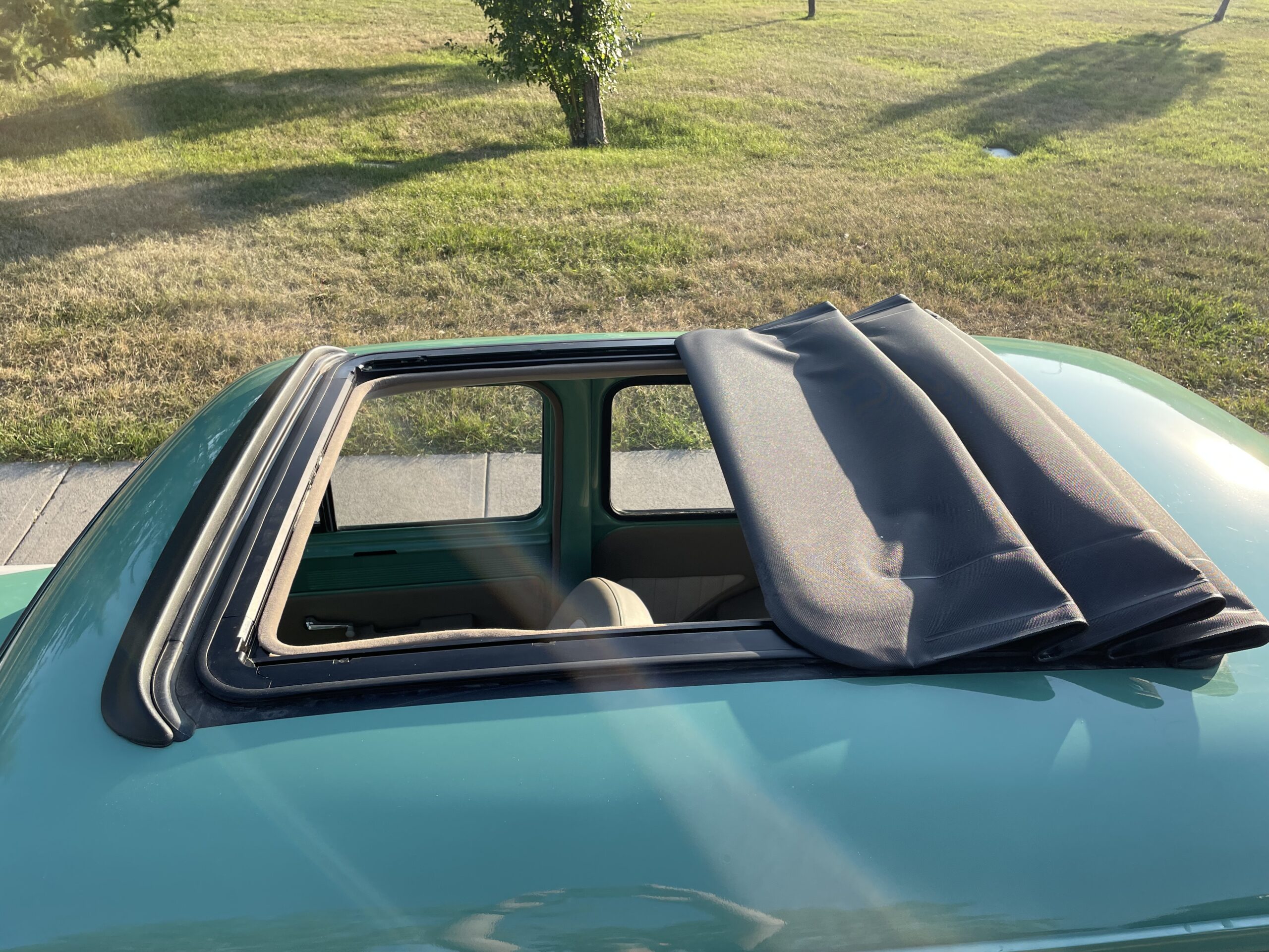 09 Jeneane Whiteside 2025-05-04