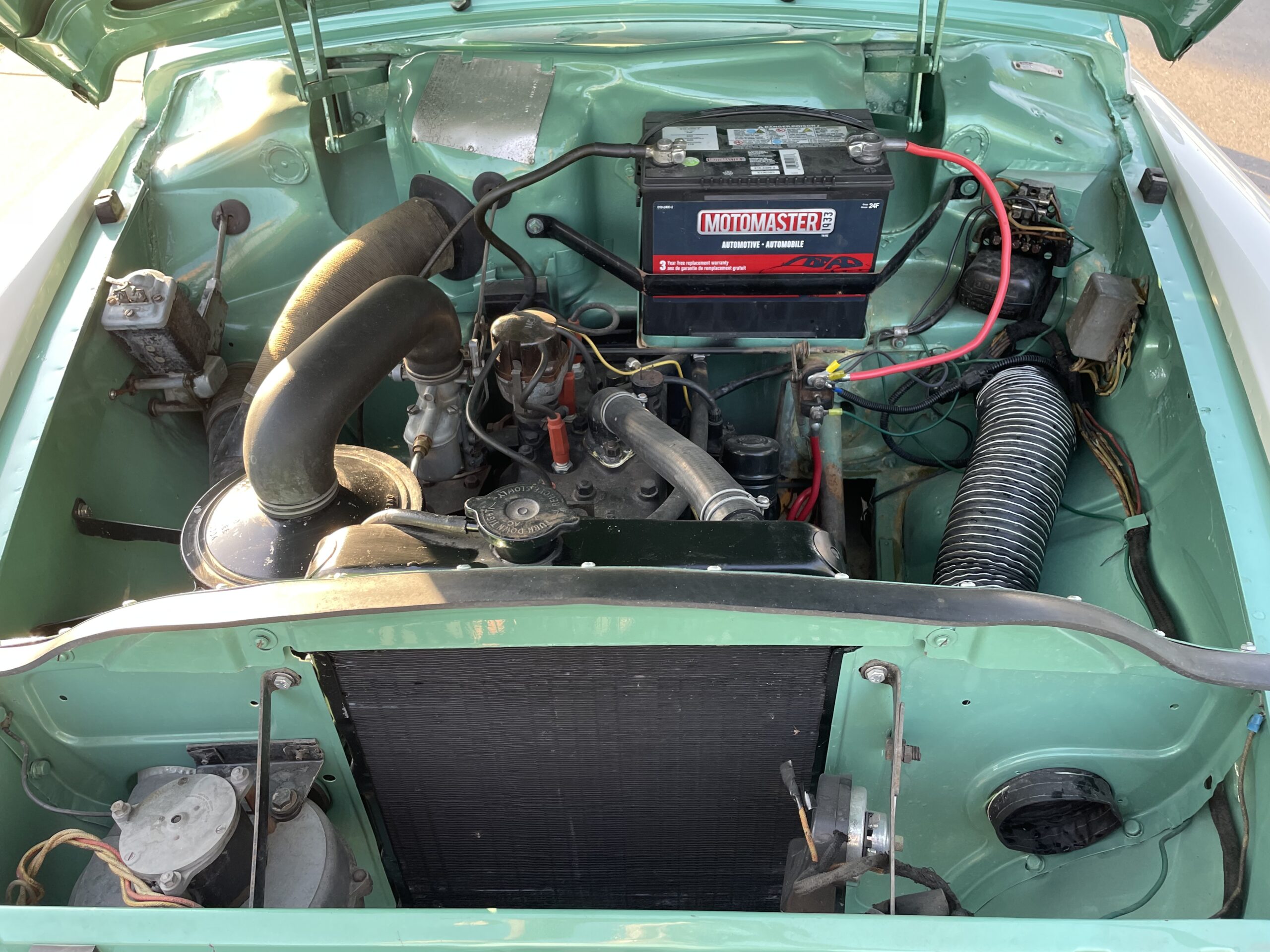 12 Jeneane Whiteside 2025-05-04