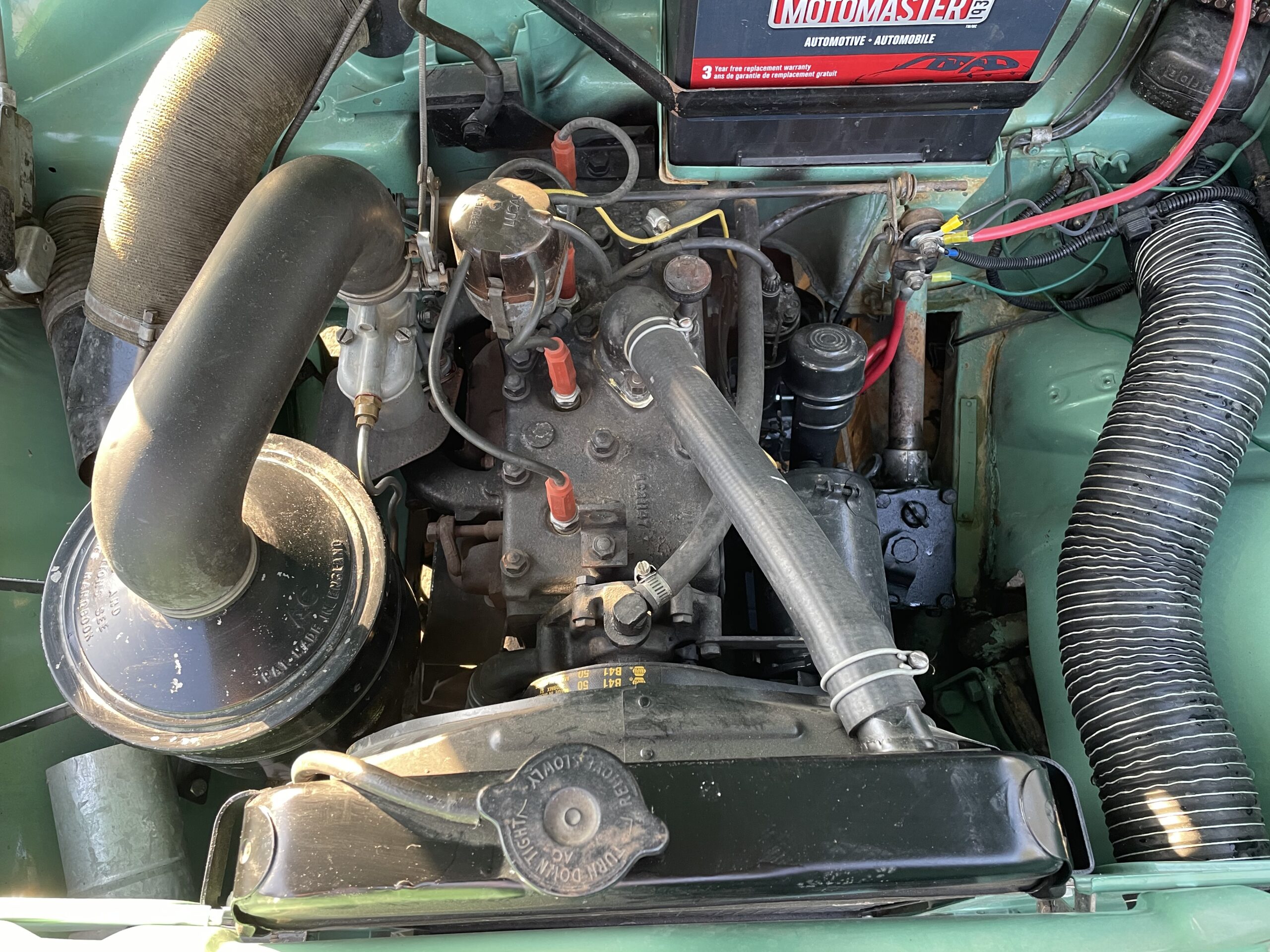 13 Jeneane Whiteside 2025-05-04