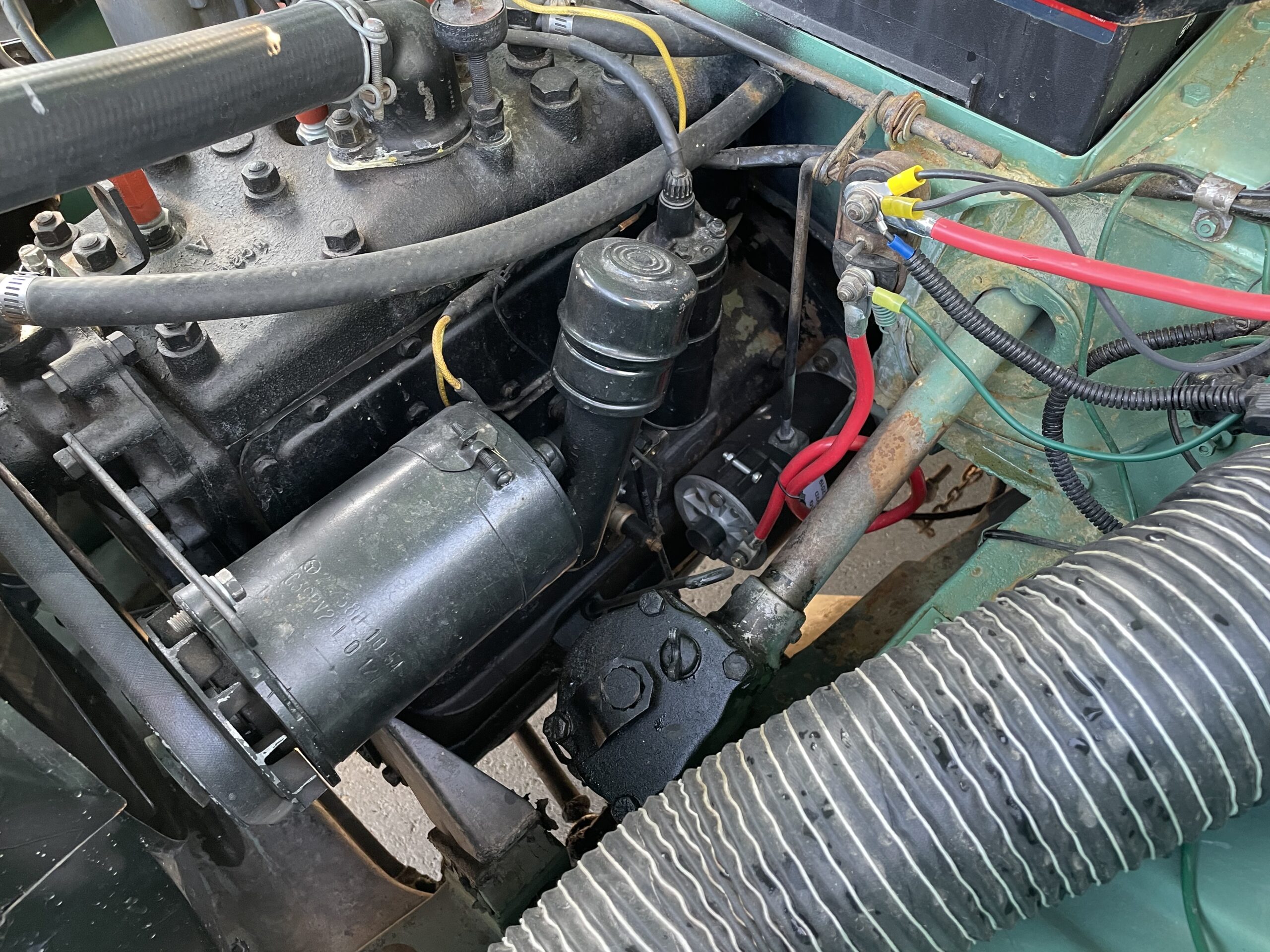 14 Jeneane Whiteside 2025-05-04