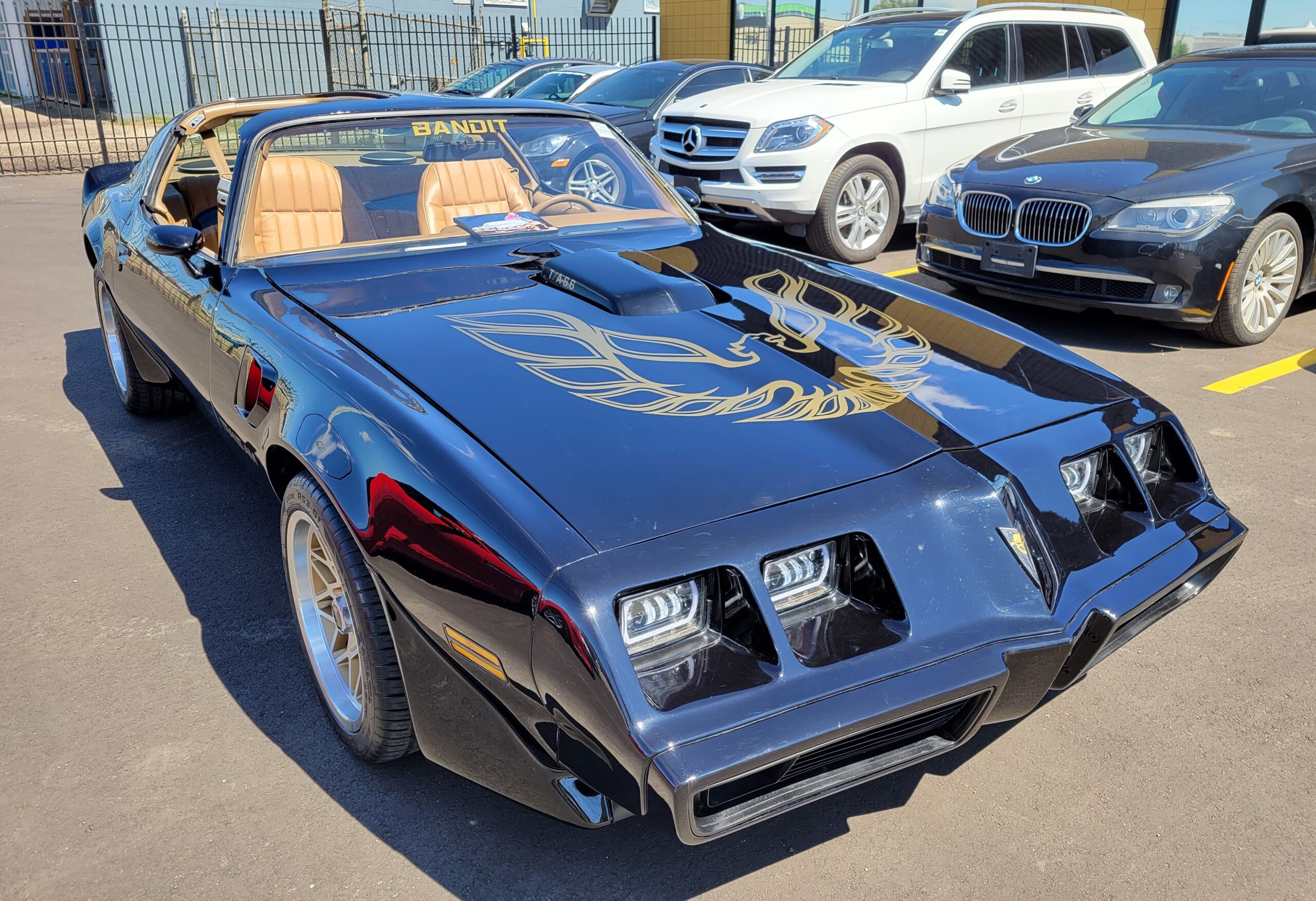 20230725_130621 Horatio 2025-05-09