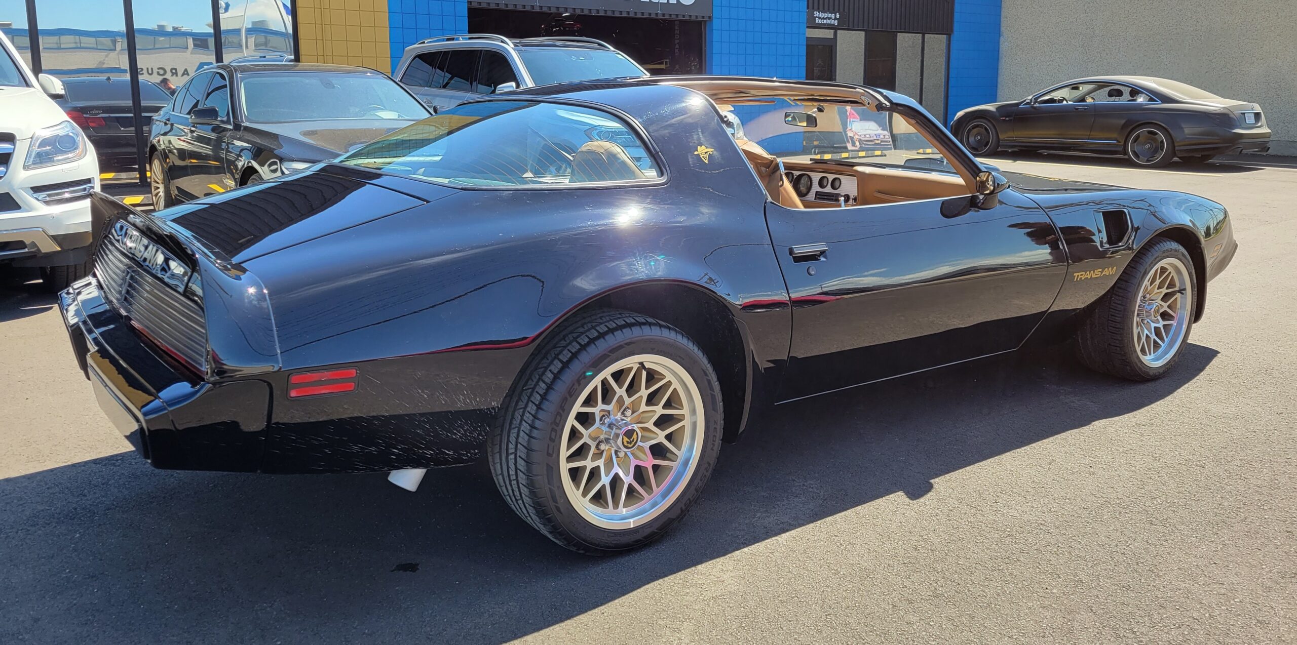 20230725_130632 Horatio 2025-05-09