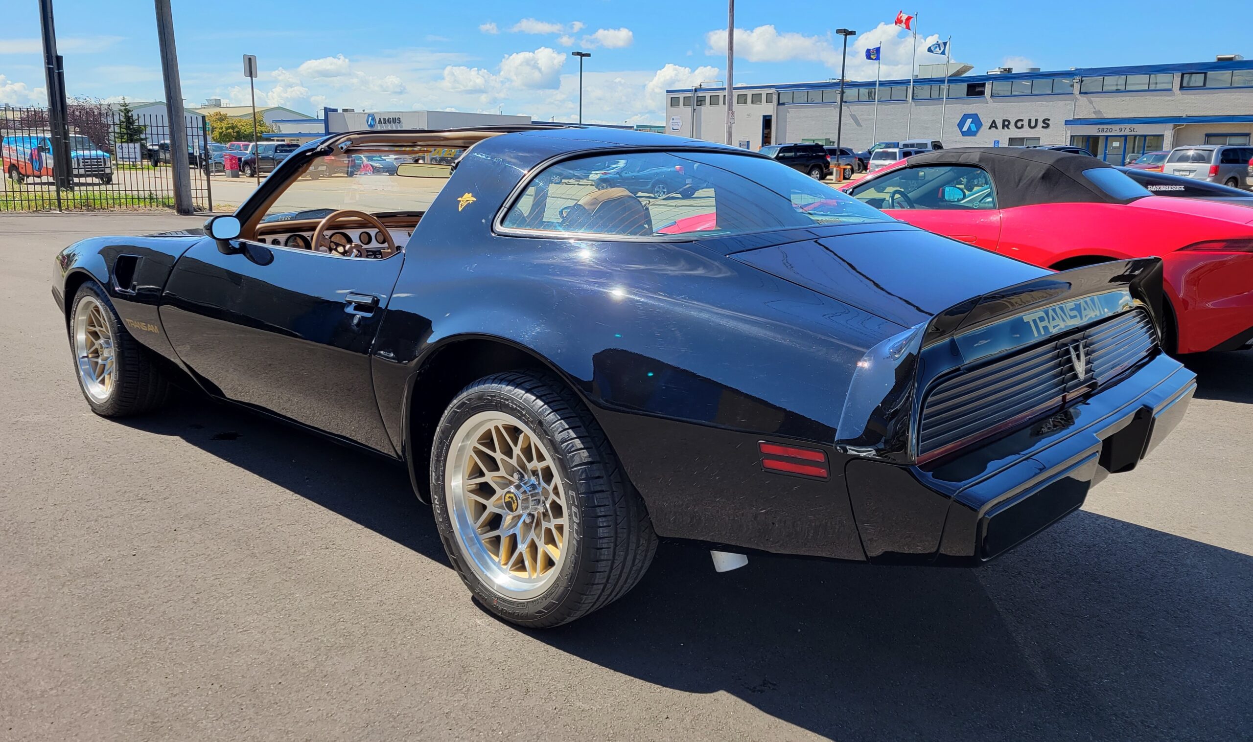 20230725_130646 Horatio 2025-05-09