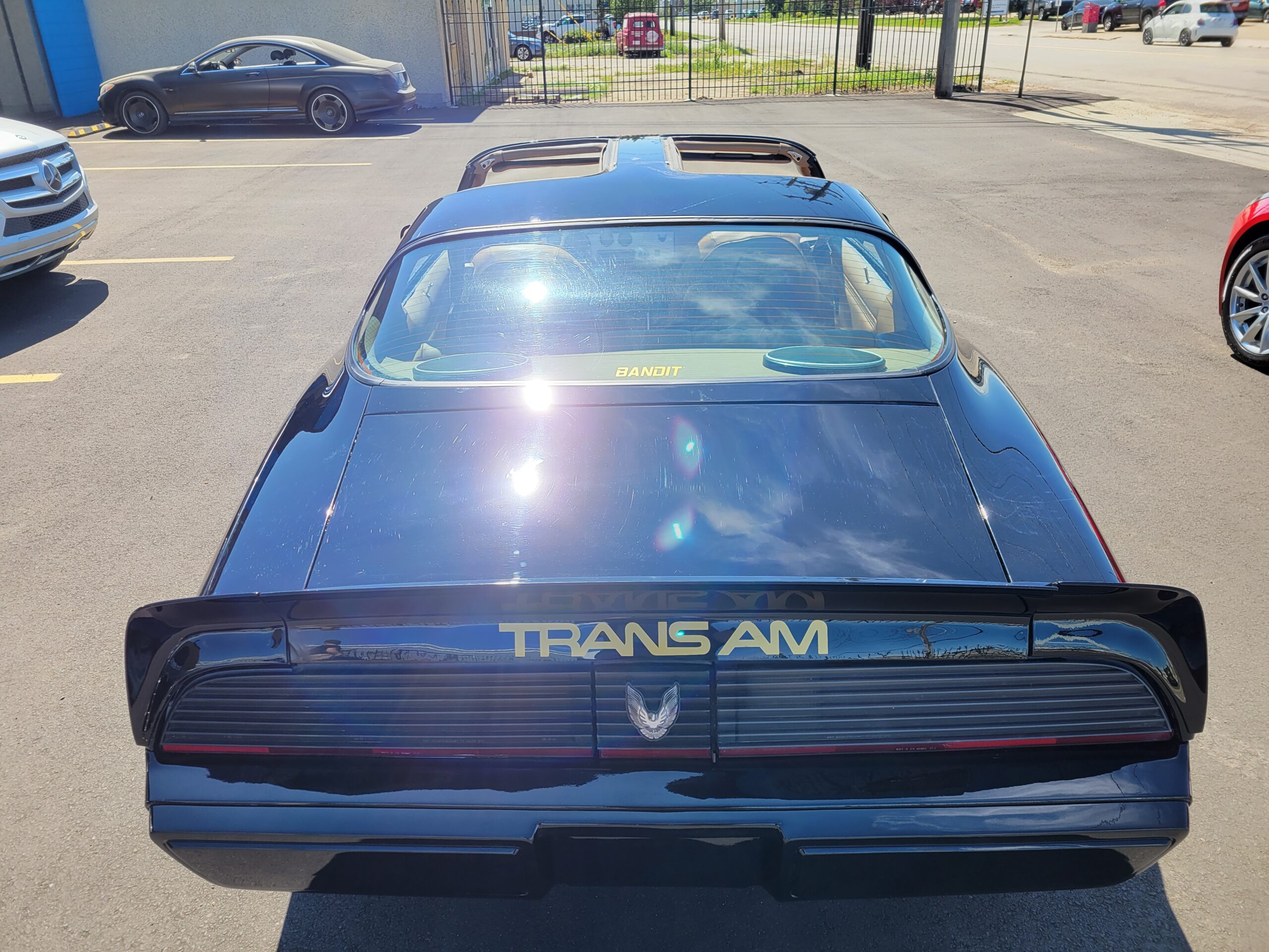 20230725_130654 Horatio 2025-05-09