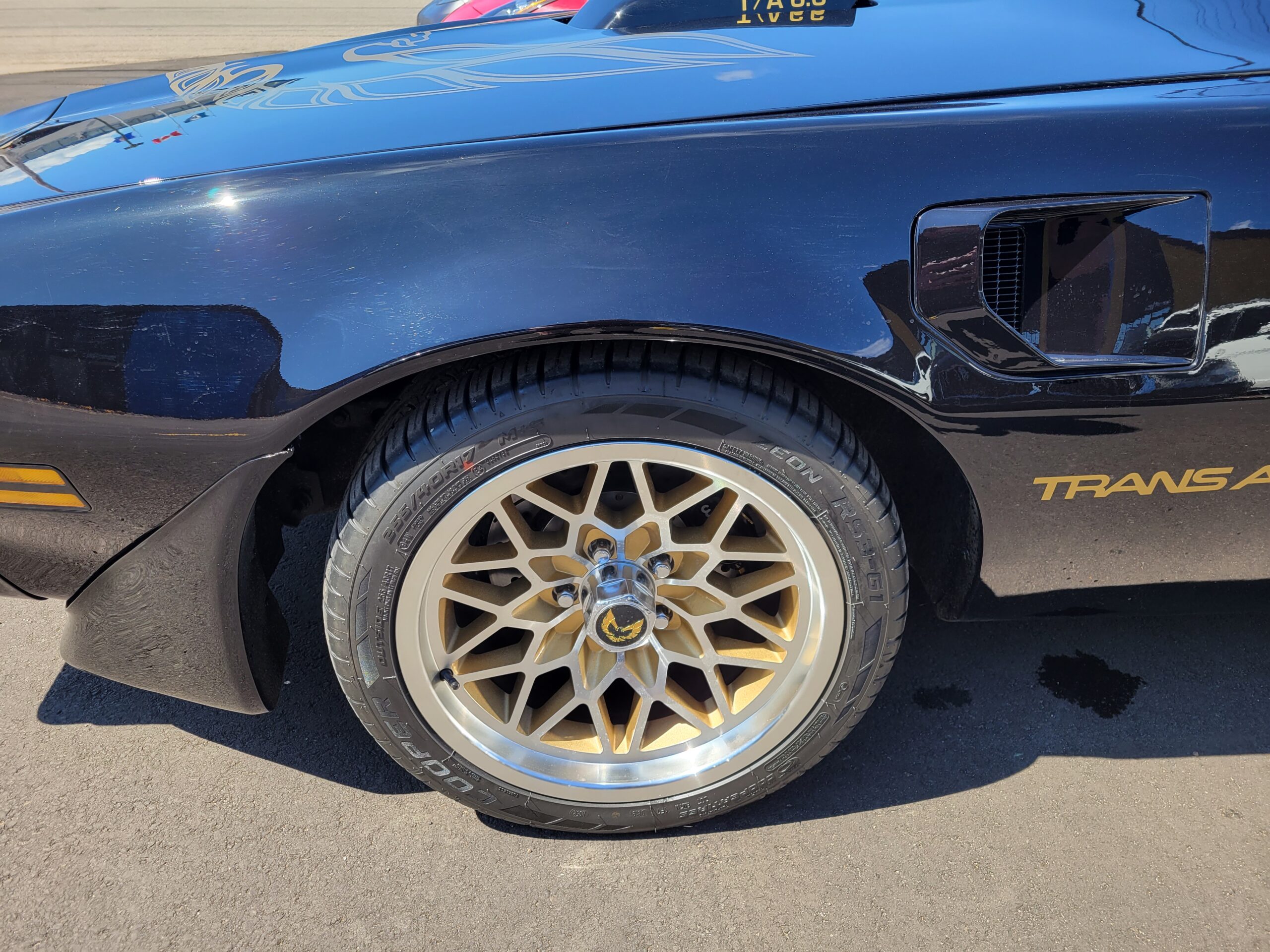 20230725_130817 Horatio 2025-05-09