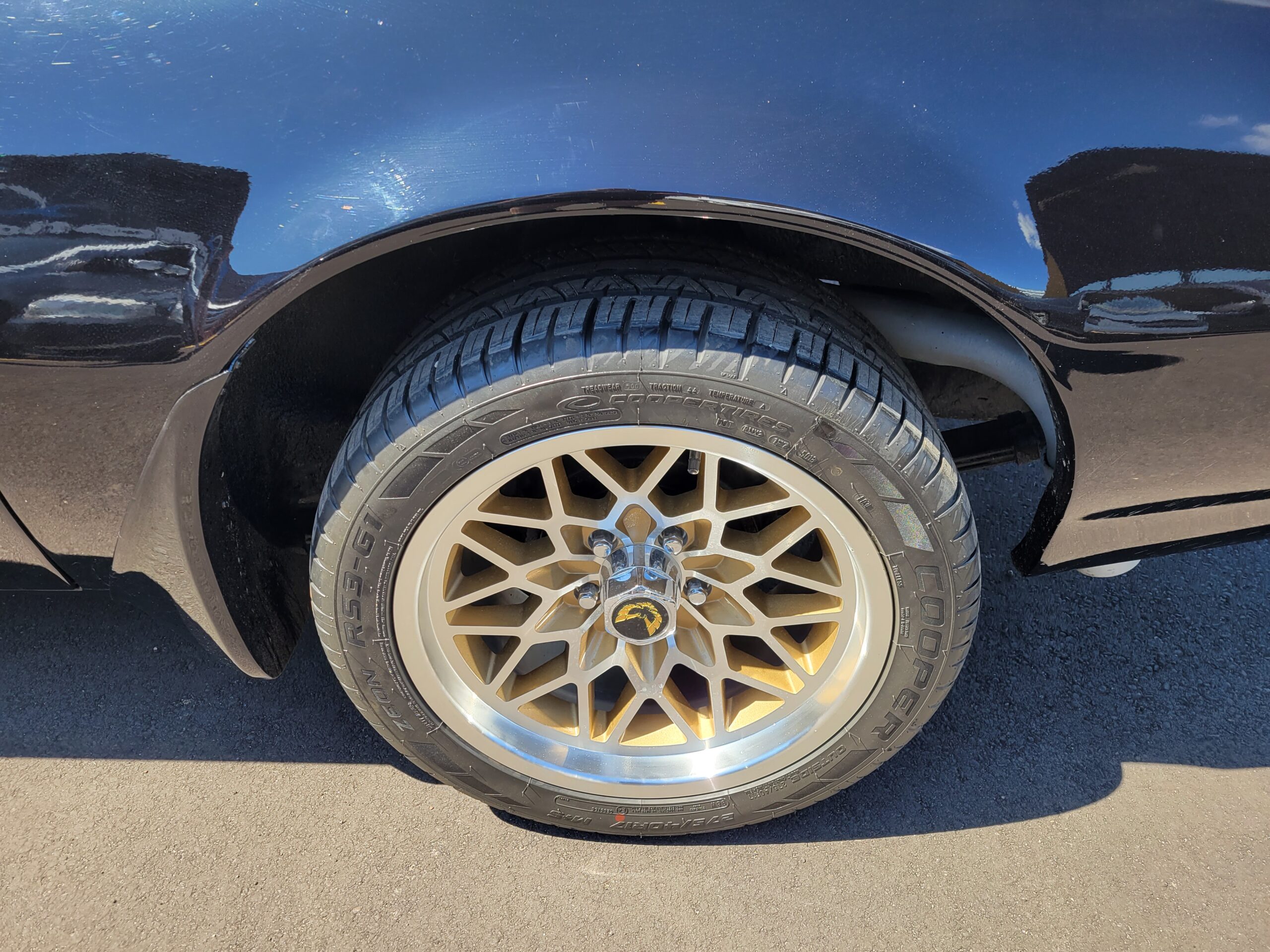 20230725_130822 Horatio 2025-05-09