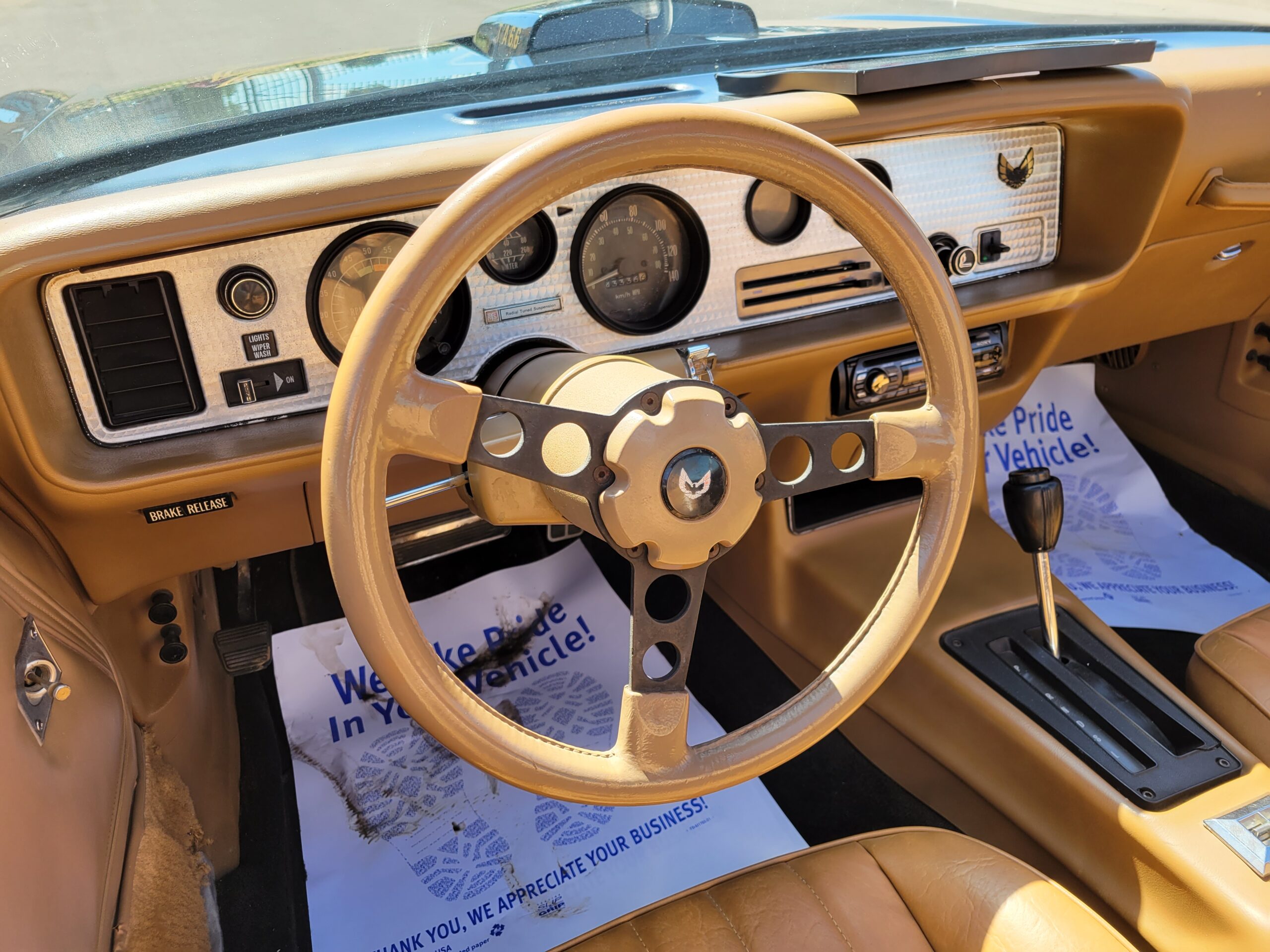 20230725_130835 Horatio 2025-05-09