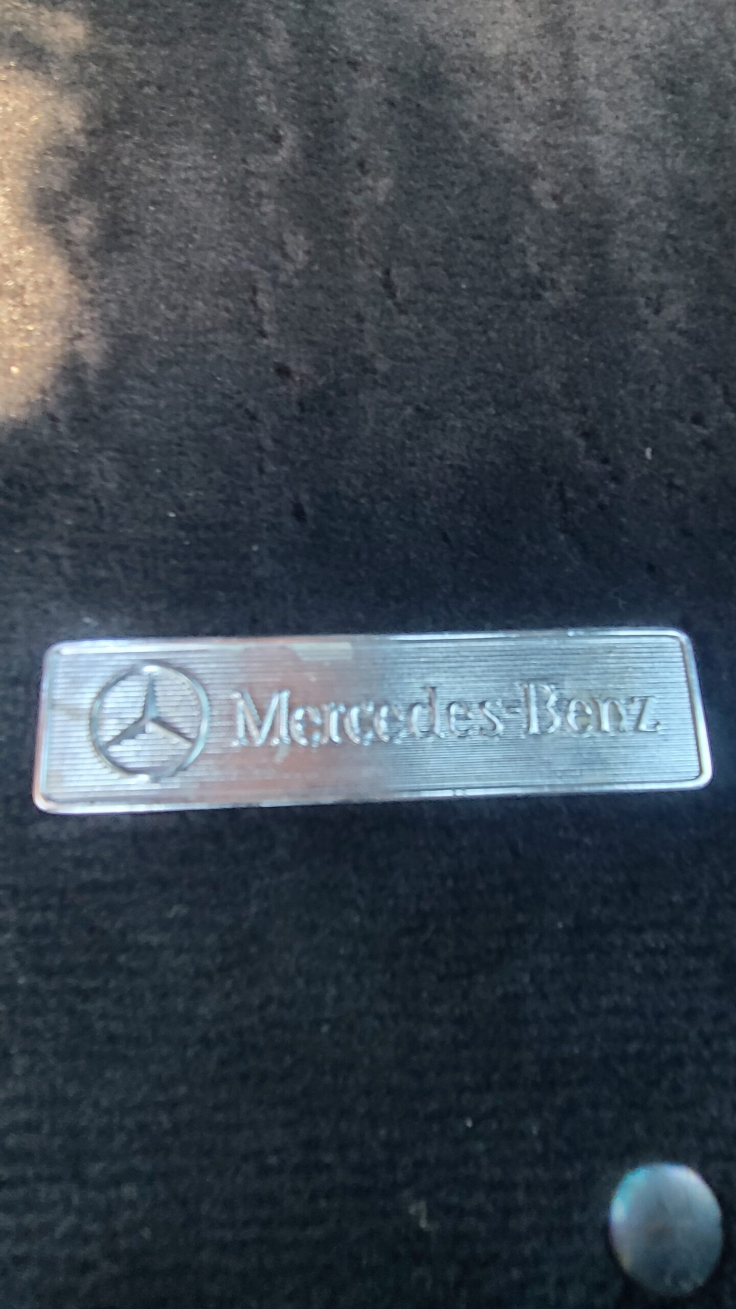 20250515_182146 Patrick Derkach 2025-05-15