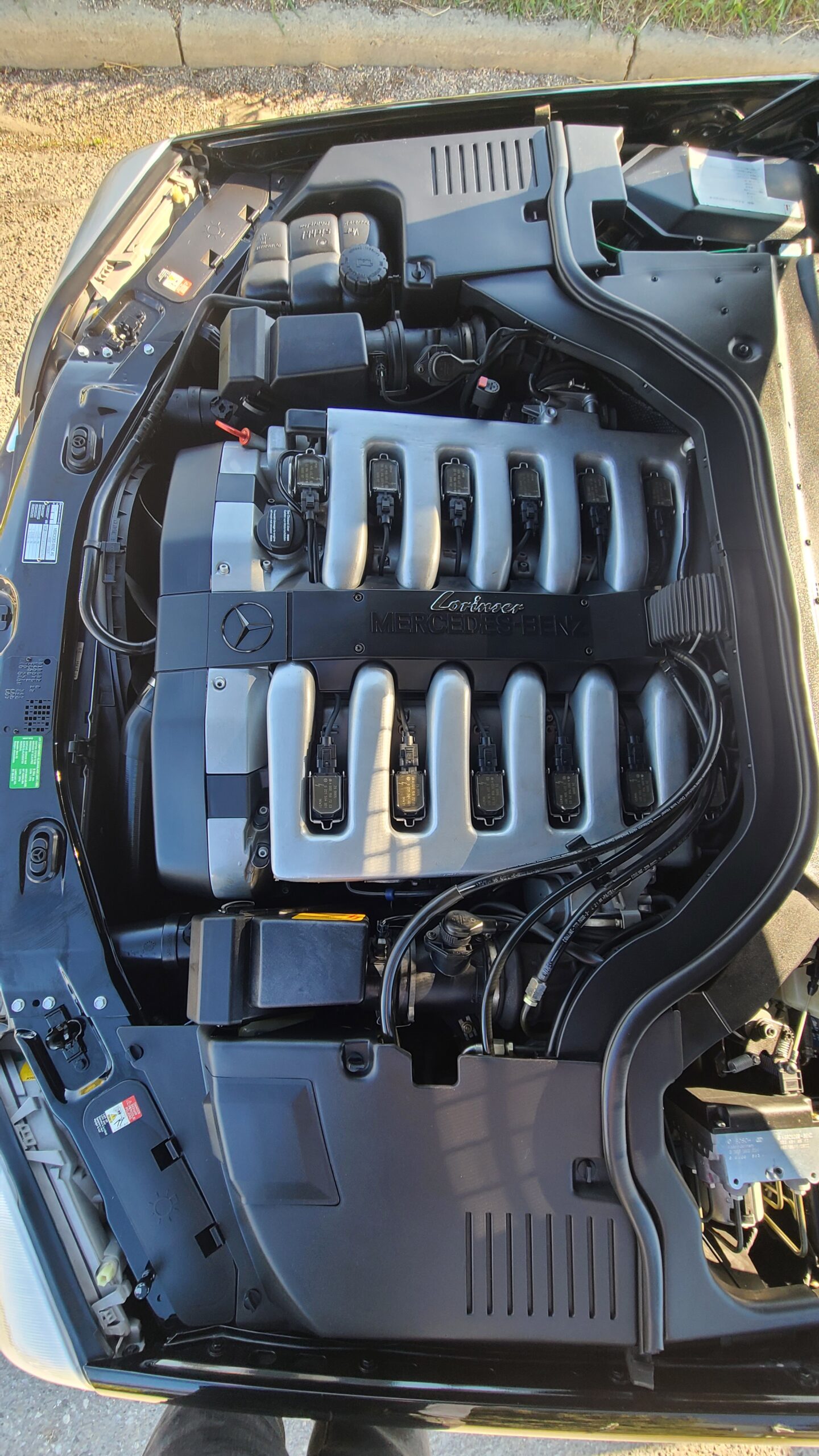 20250515_182235 Patrick Derkach 2025-05-15