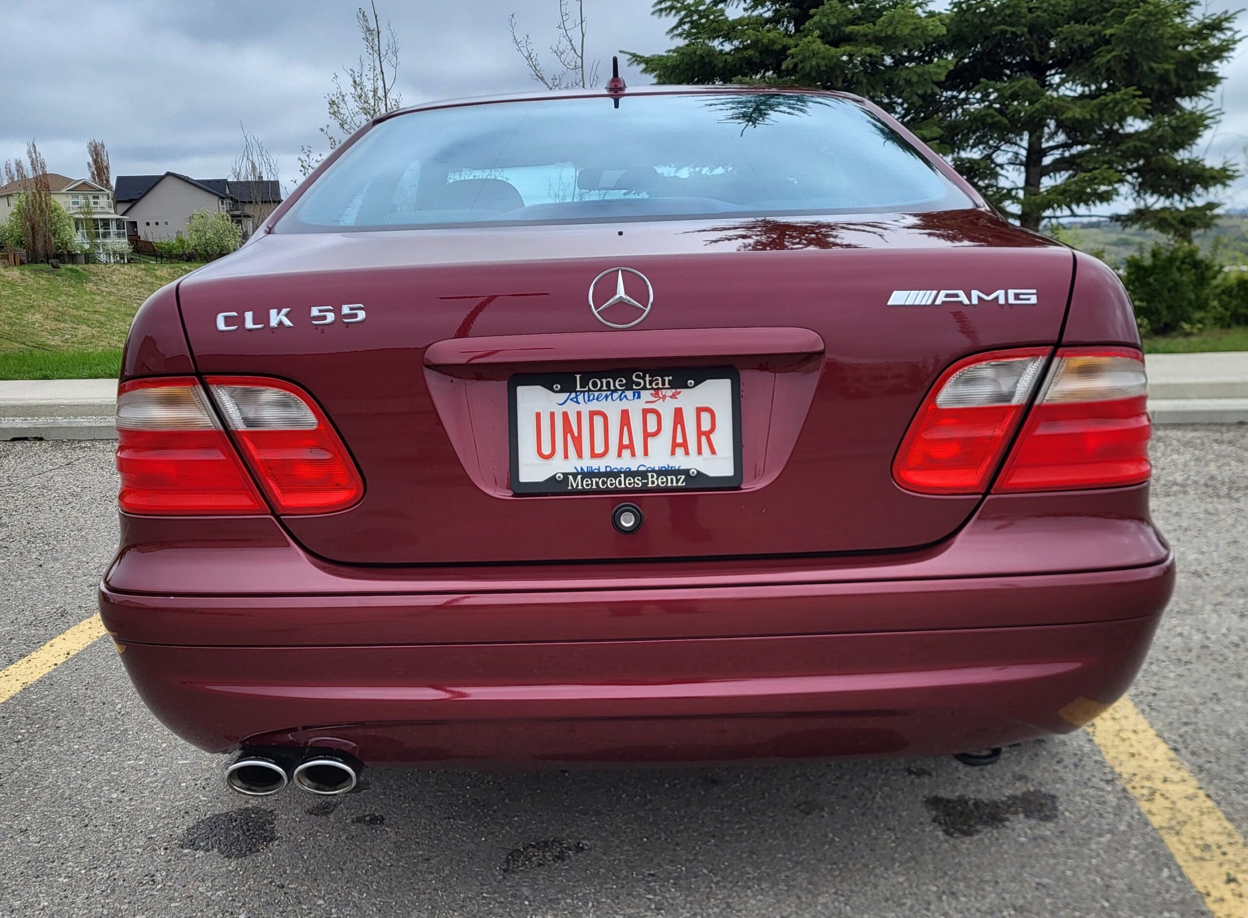 7 Christopher Creran 2025-05-19