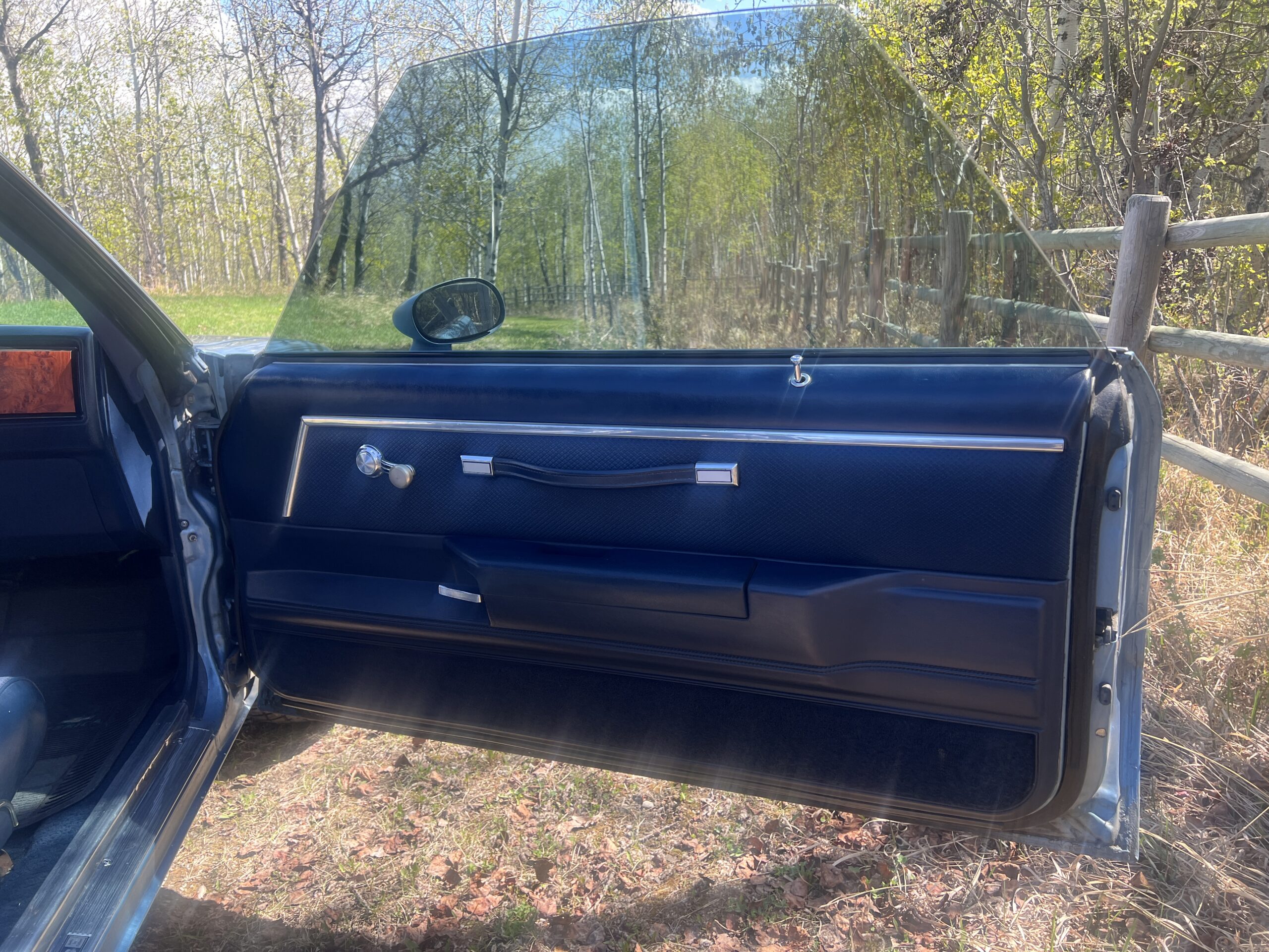 IMG_0601 Randy Pedersen 2025-05-19