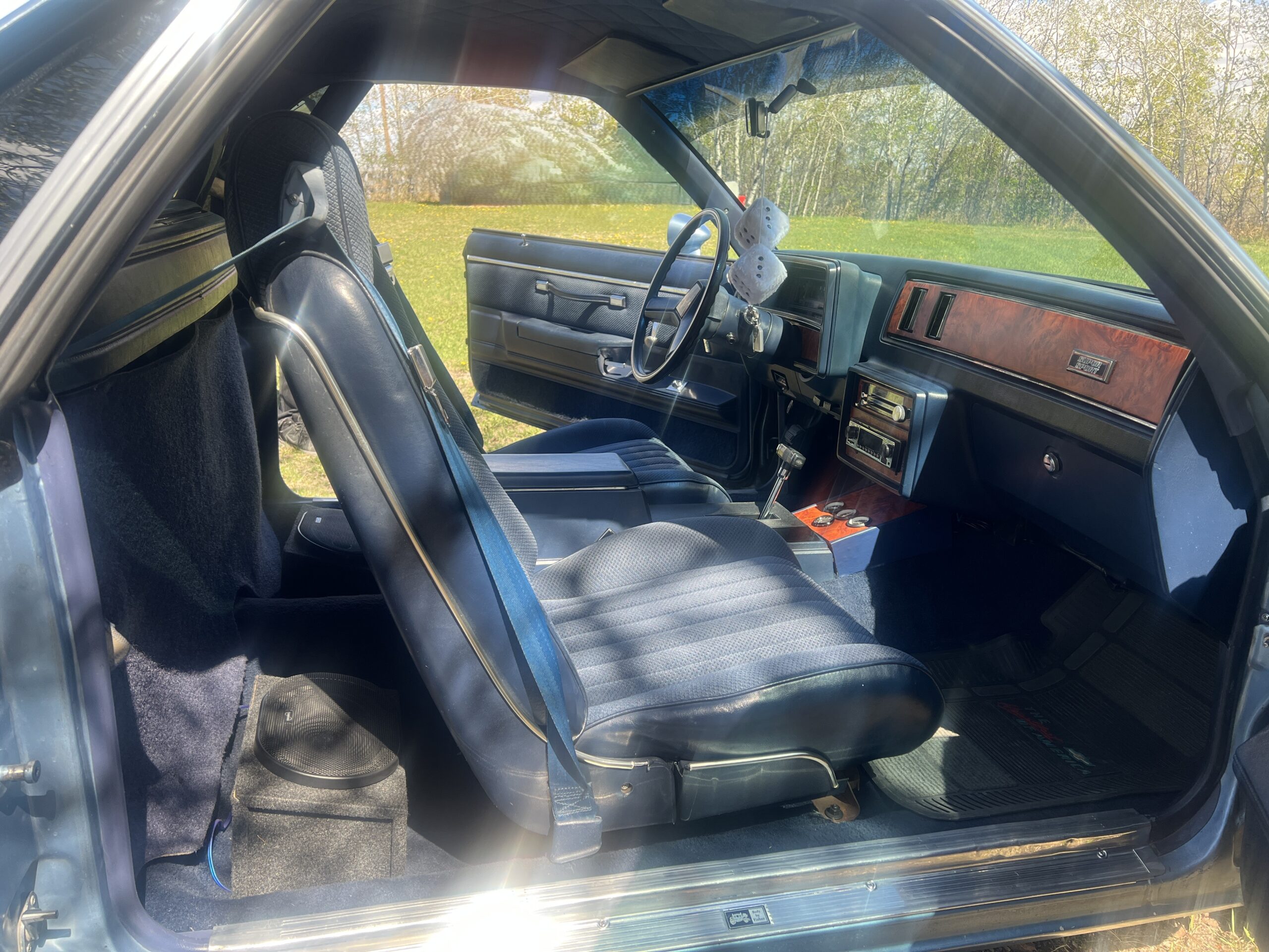 IMG_0602 Randy Pedersen 2025-05-19