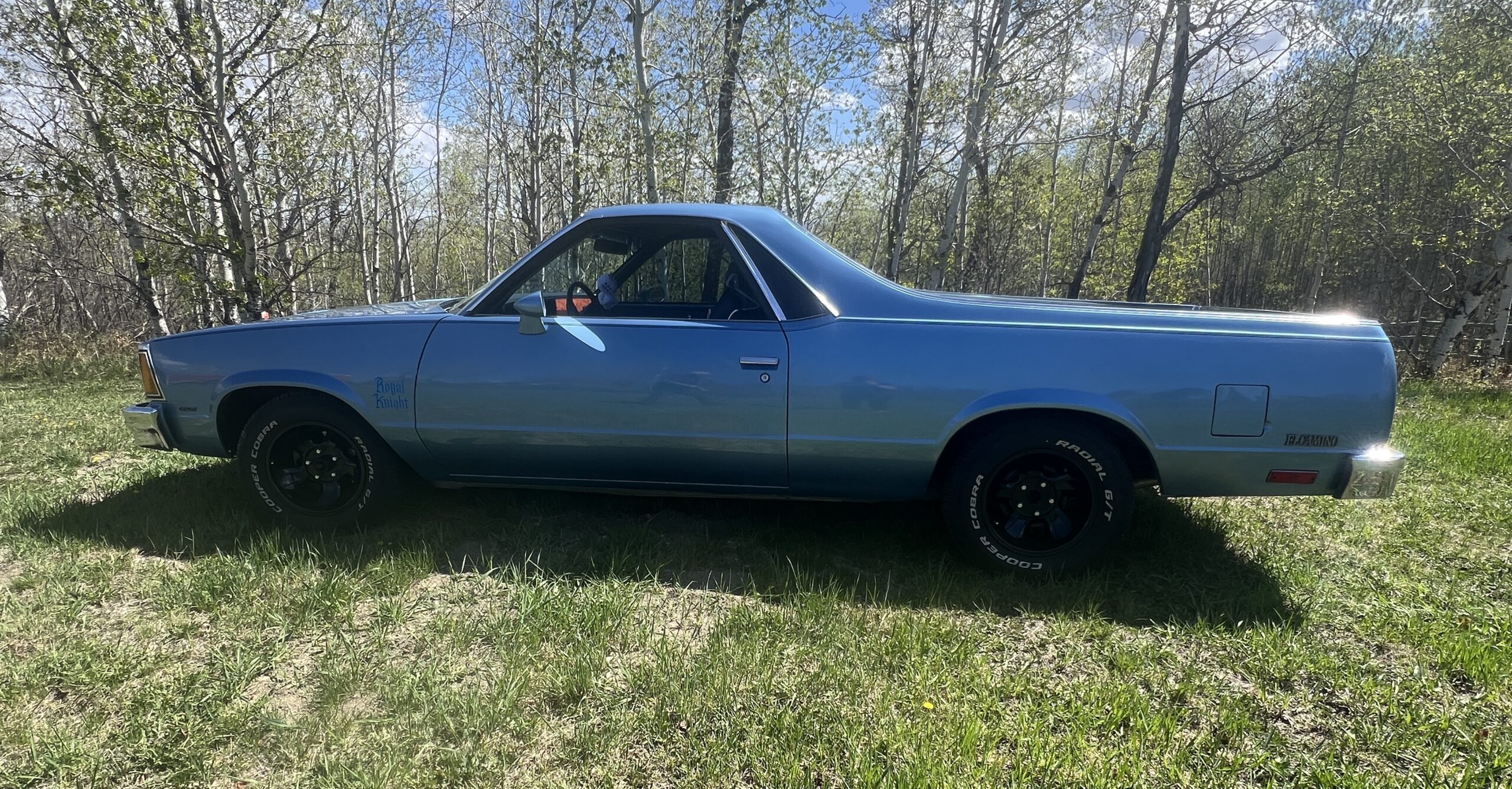 IMG_0604 Randy Pedersen 2025-05-19