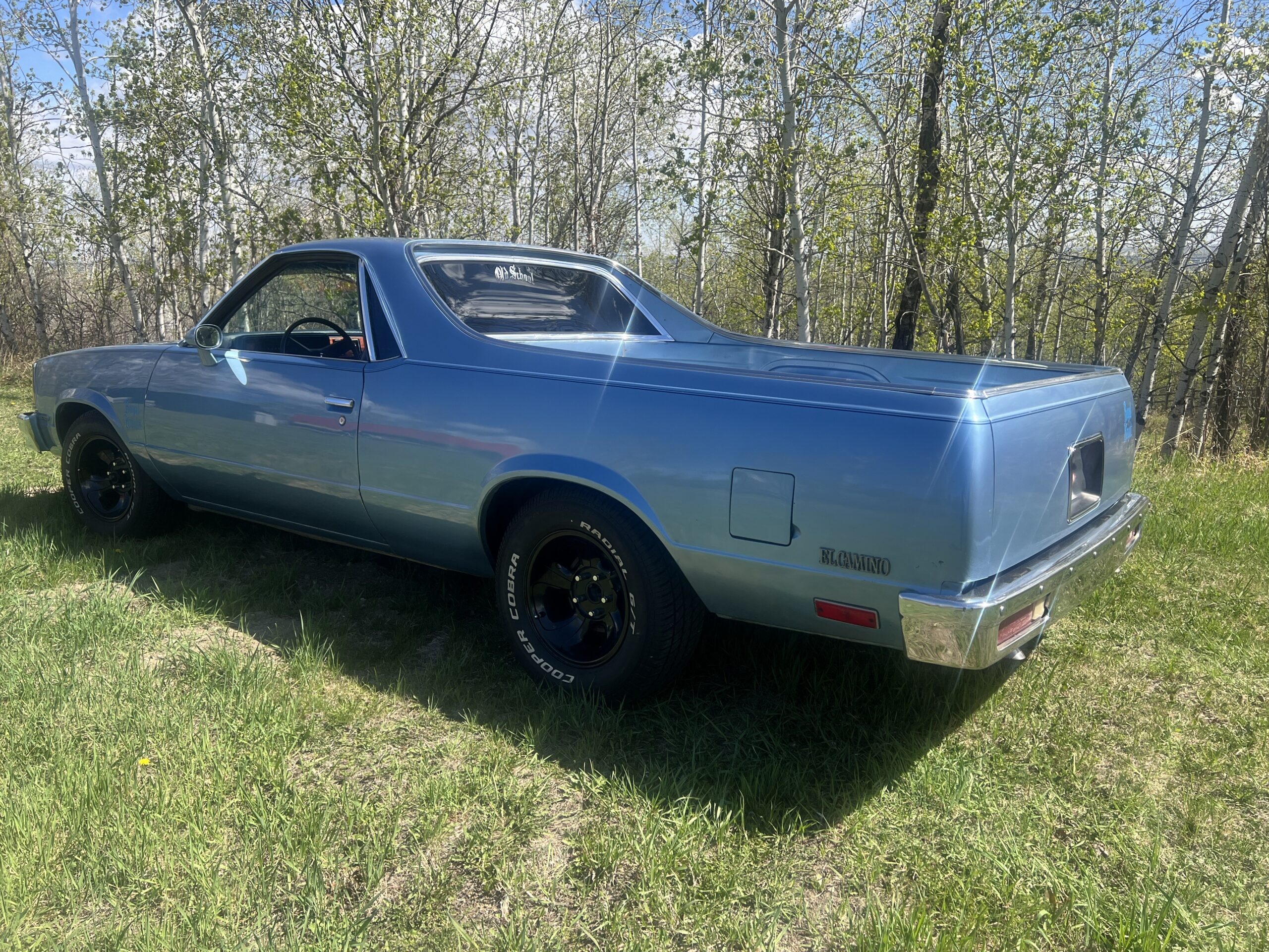 IMG_0605 Randy Pedersen 2025-05-19