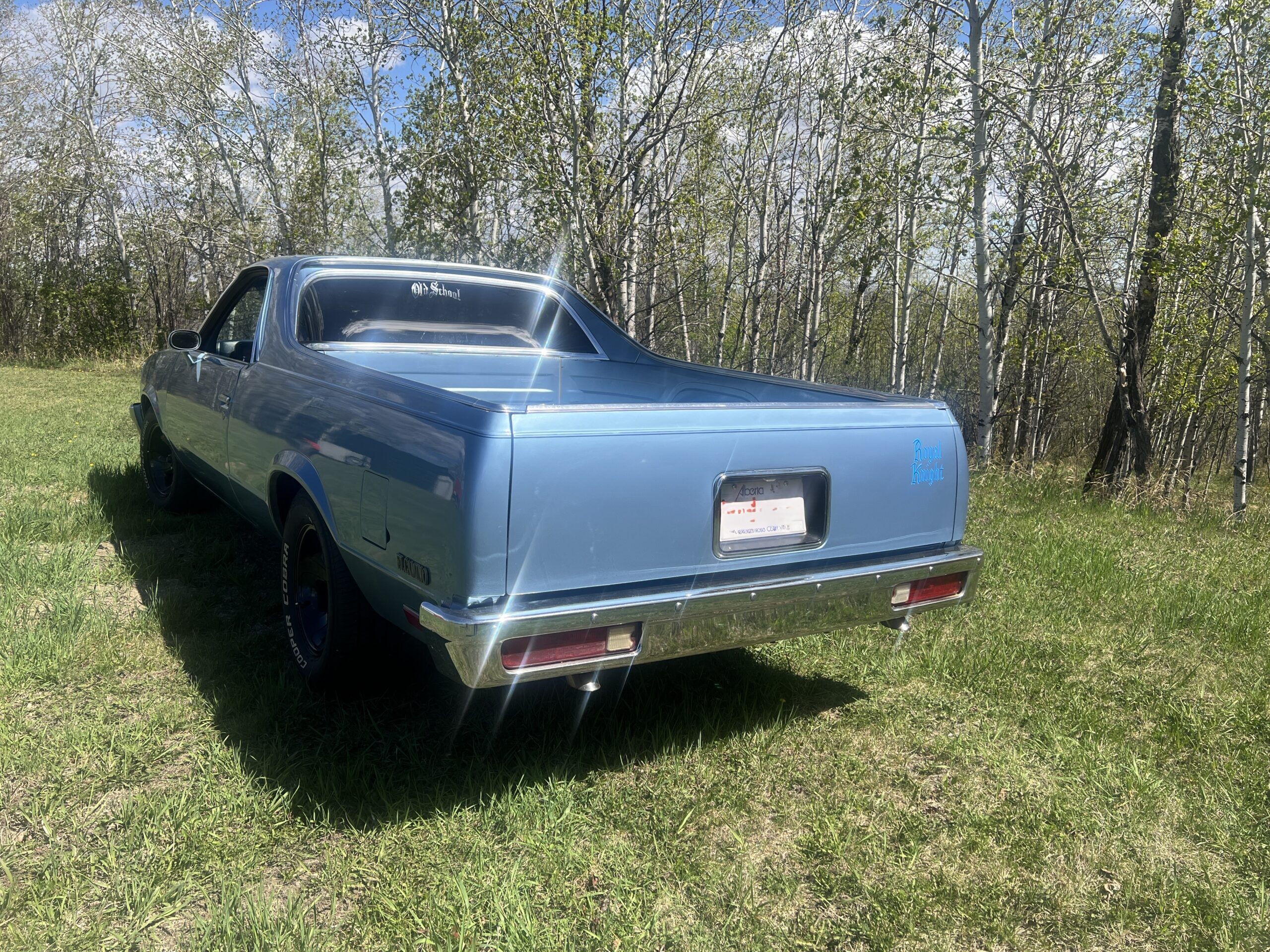 IMG_0606 Randy Pedersen 2025-05-19